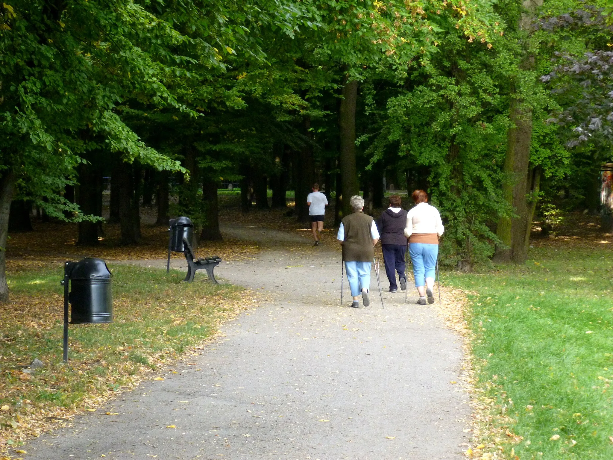 Photo showing: Park miejski tzw. „Górka Skarbowców”
