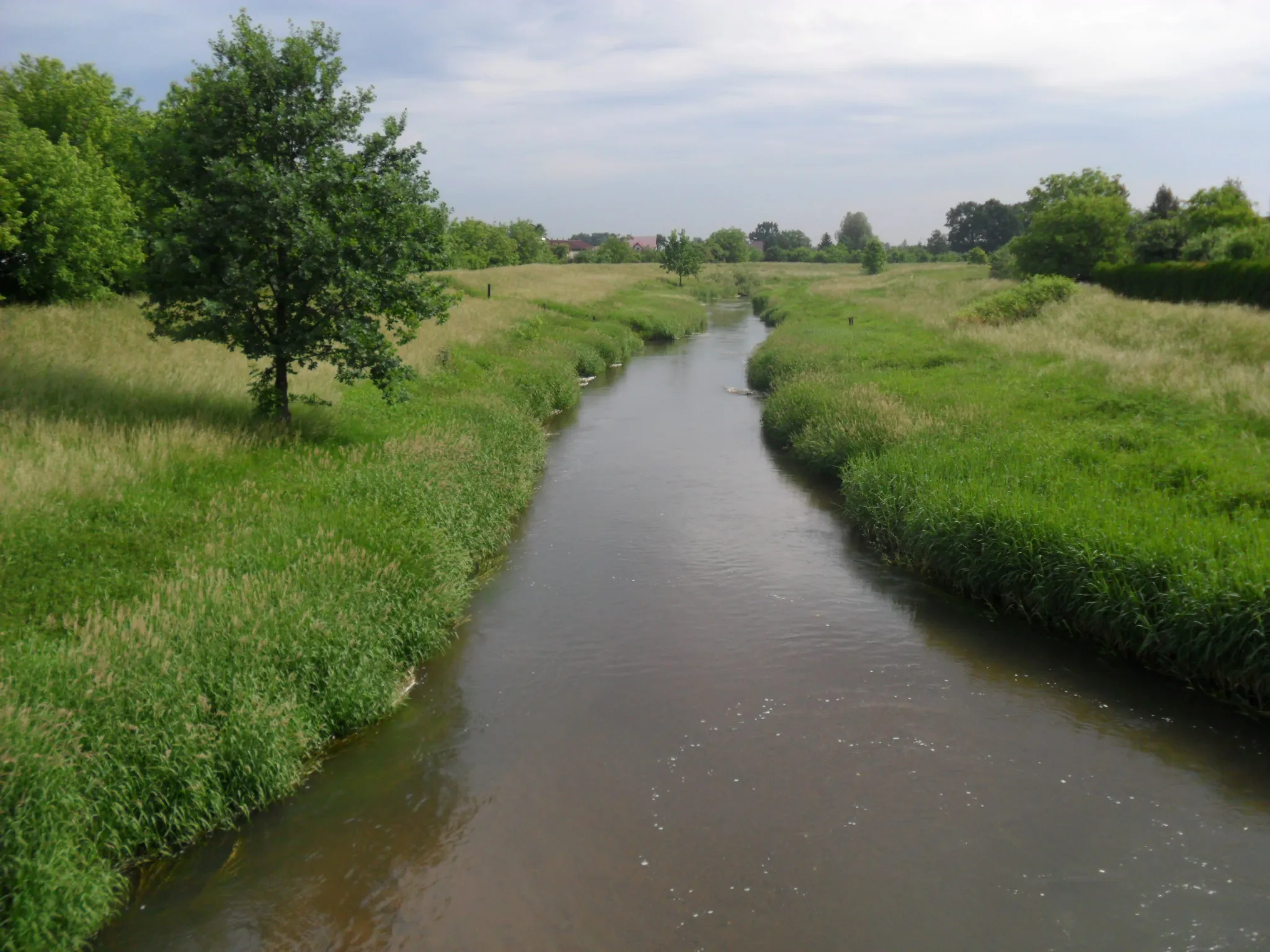 Photo showing: Oława (river) in Oława