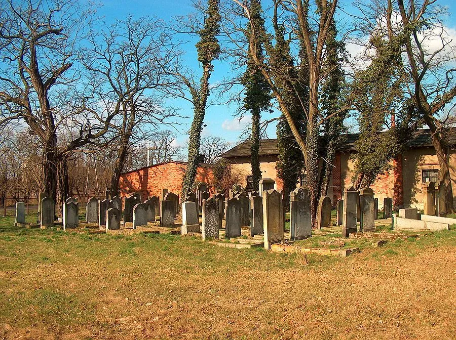 Photo showing: Jewish cemetery in Ścinawa (Lower silesia, Poland)