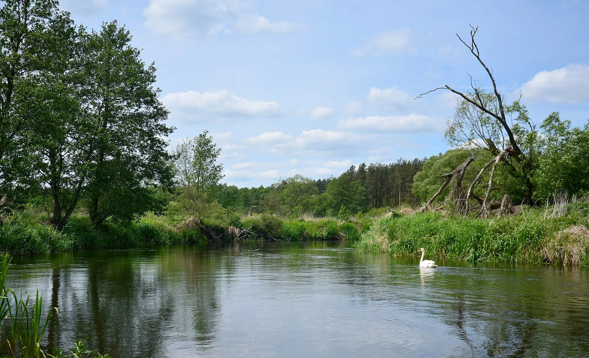 Photo showing: This is a a picture of a Natura 2000 protected area with ID