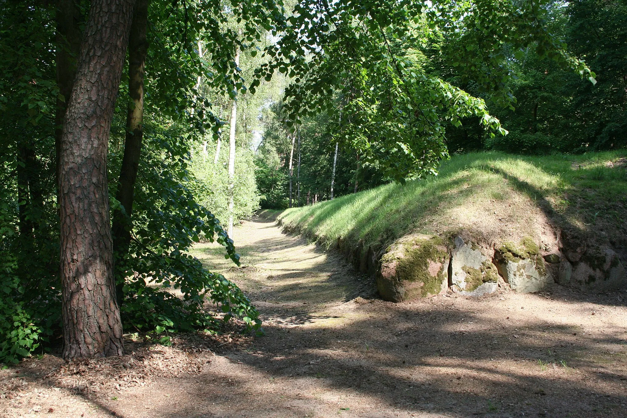 Photo showing: Earthen Long Barrow Wietrzychowice 2