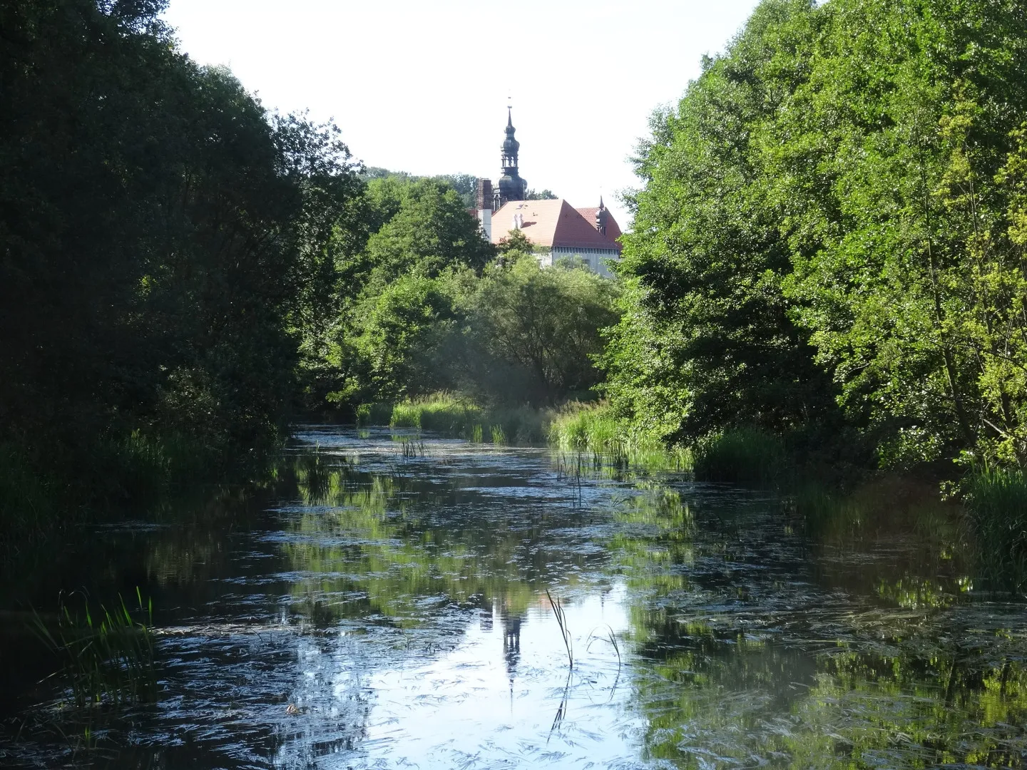 Photo showing: Rzeka Brda w Koronowie