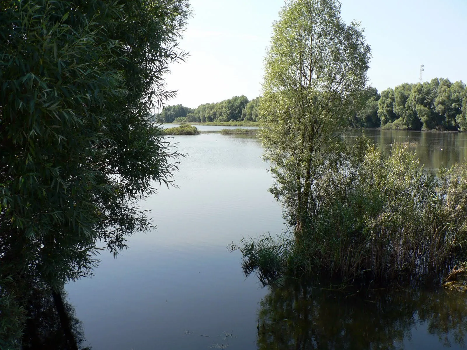 Photo showing: Widok z grobli na Jeziorze Pakoskim