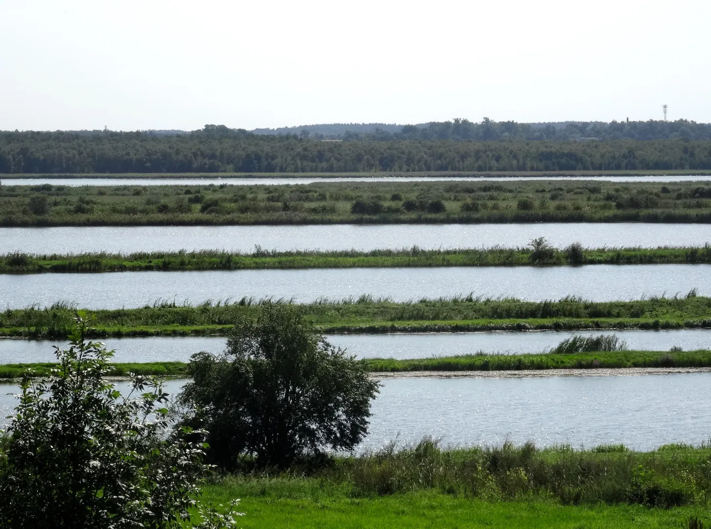 Photo showing: Widok ze Ślesina na dolinę Środkowej Noteci i Kanału Bydgsokiego