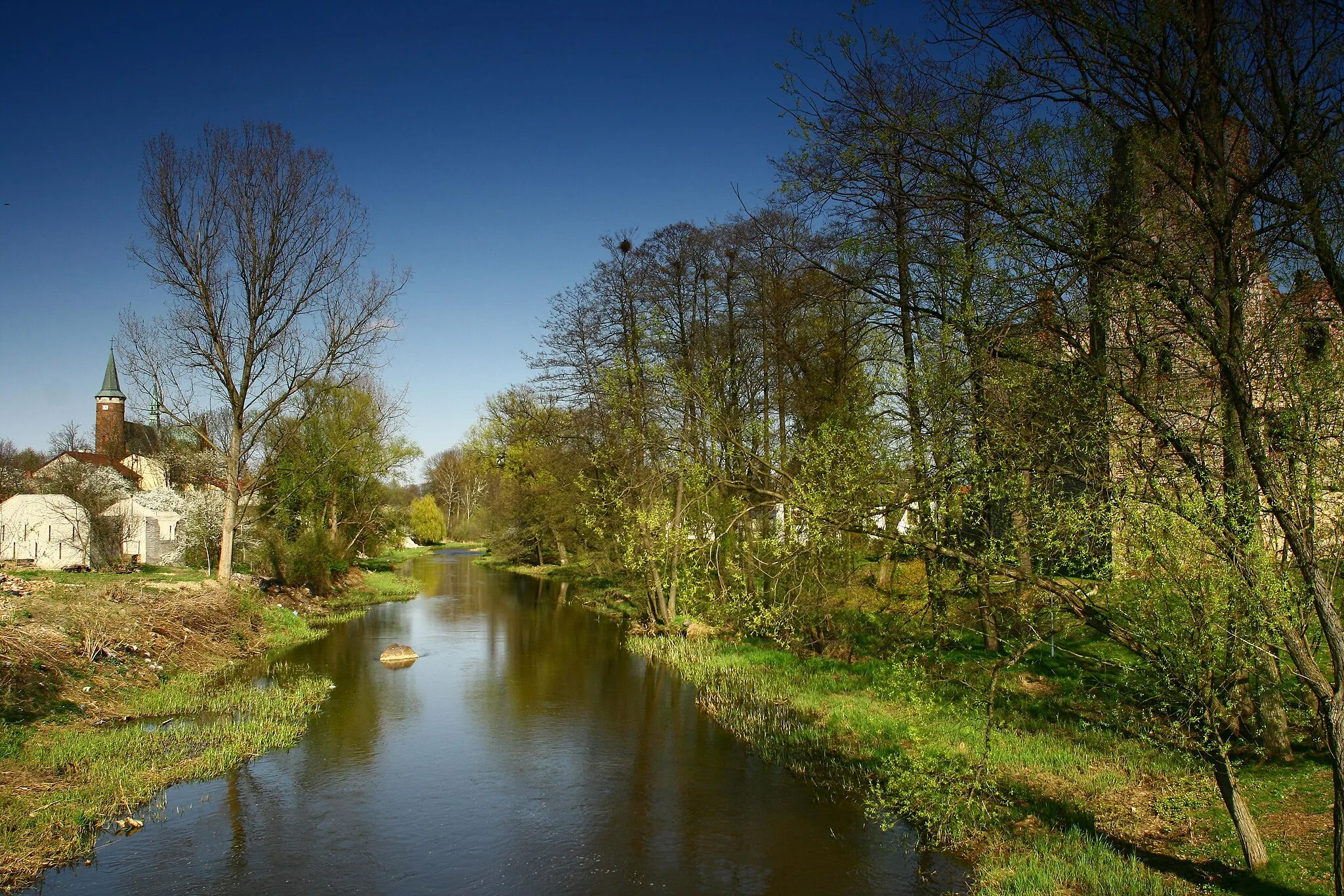 Photo showing: Drzewica, rzeka Drzewiczka