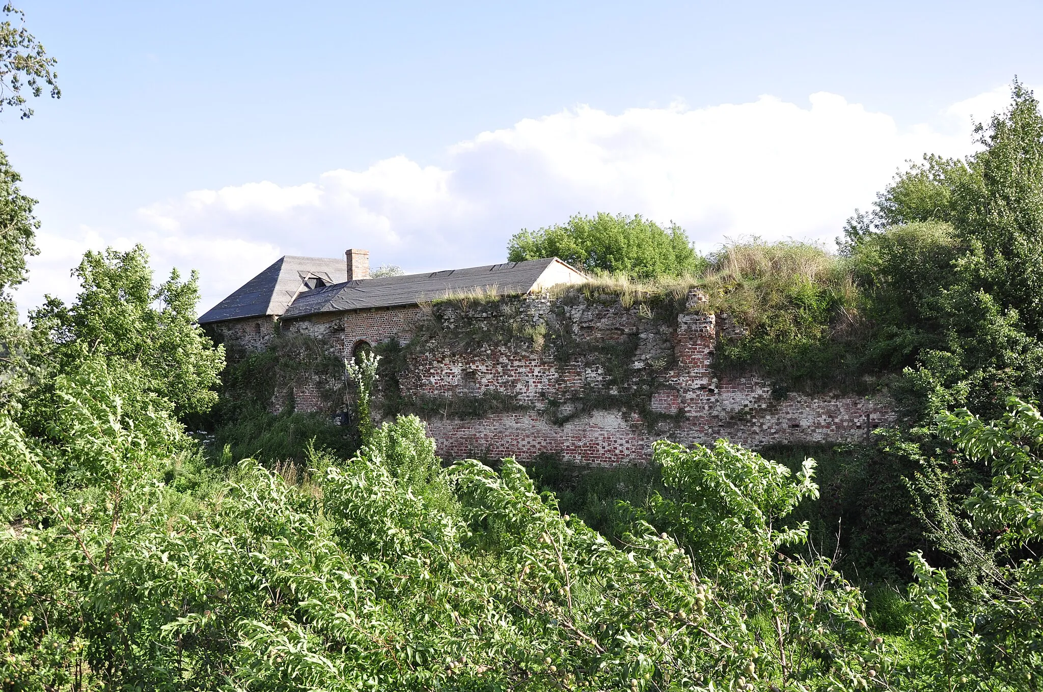 Photo showing: Lowicz Burg