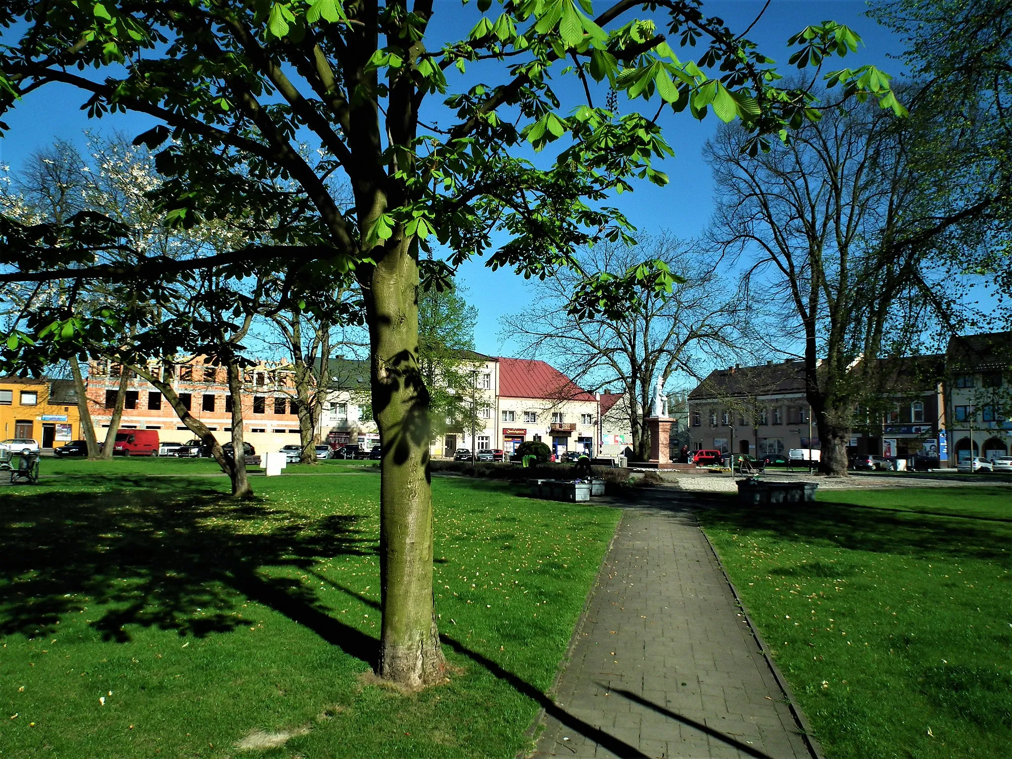 Photo showing: Rynek w Wieruszowie.