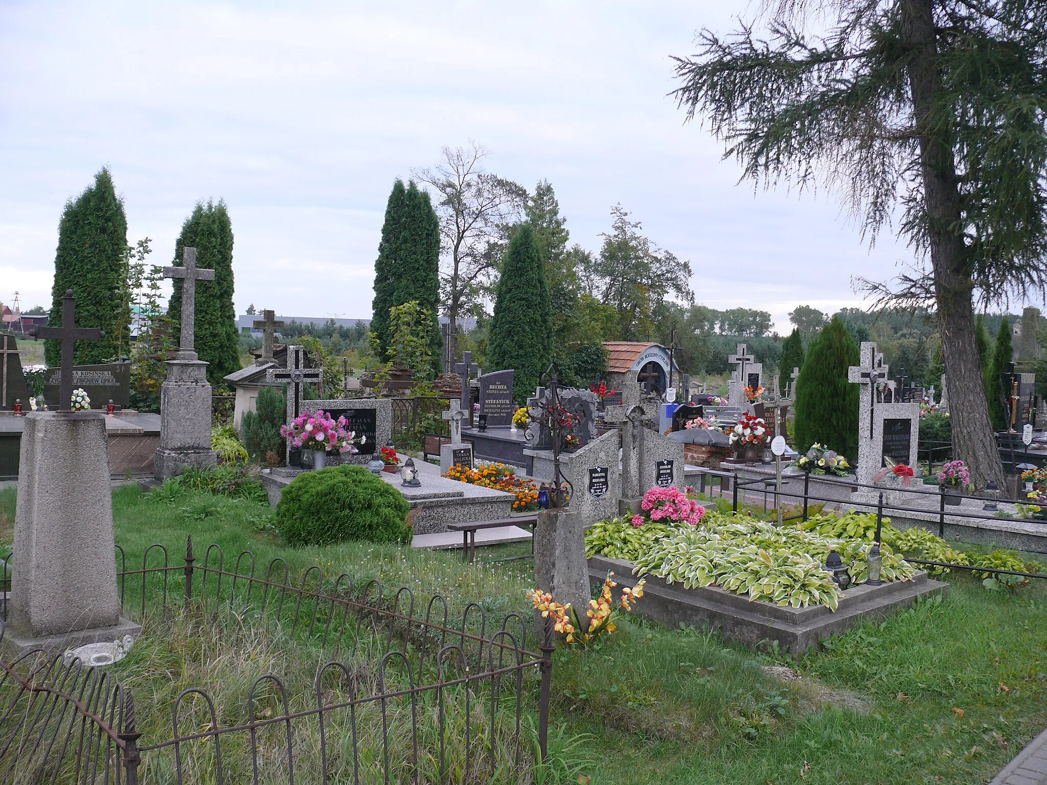 Photo showing: Cmentarz unicki, obecnie rzymsko-katolicki (k. XVIII, 1930) - Janów Podlaski, powiat bialski, woj. lubelskie, (Zabytek nr. A/79 z 21.11.1966 i z 14.11.1994)