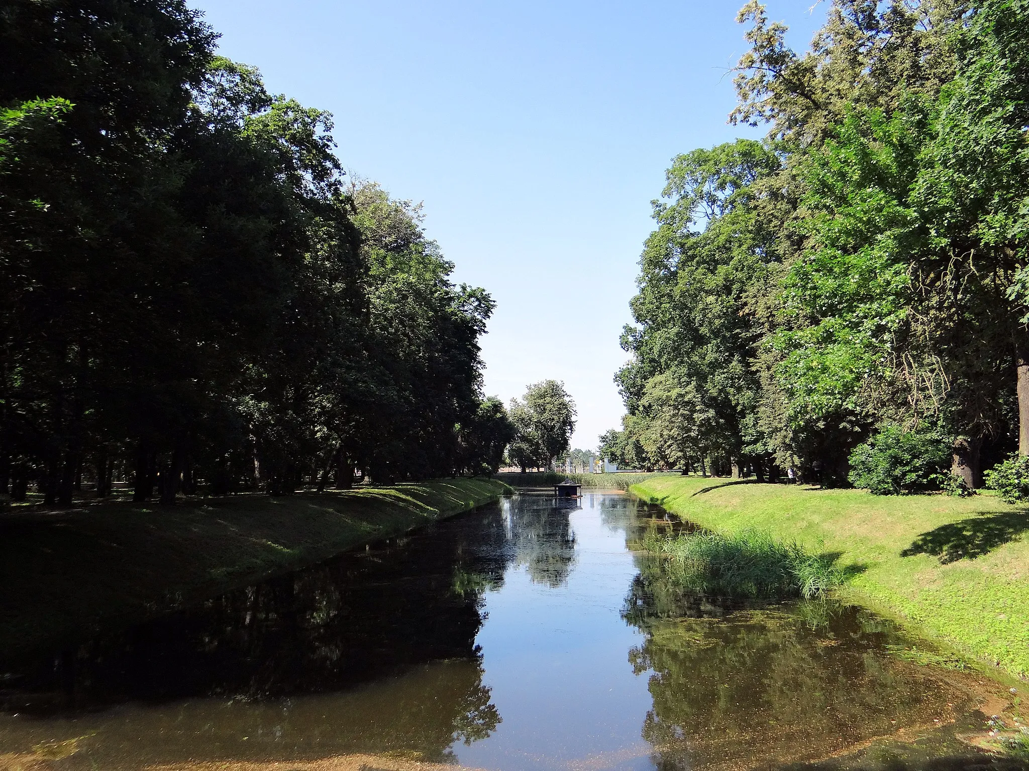 Photo showing: Park of Radzyń Podlaski Palace