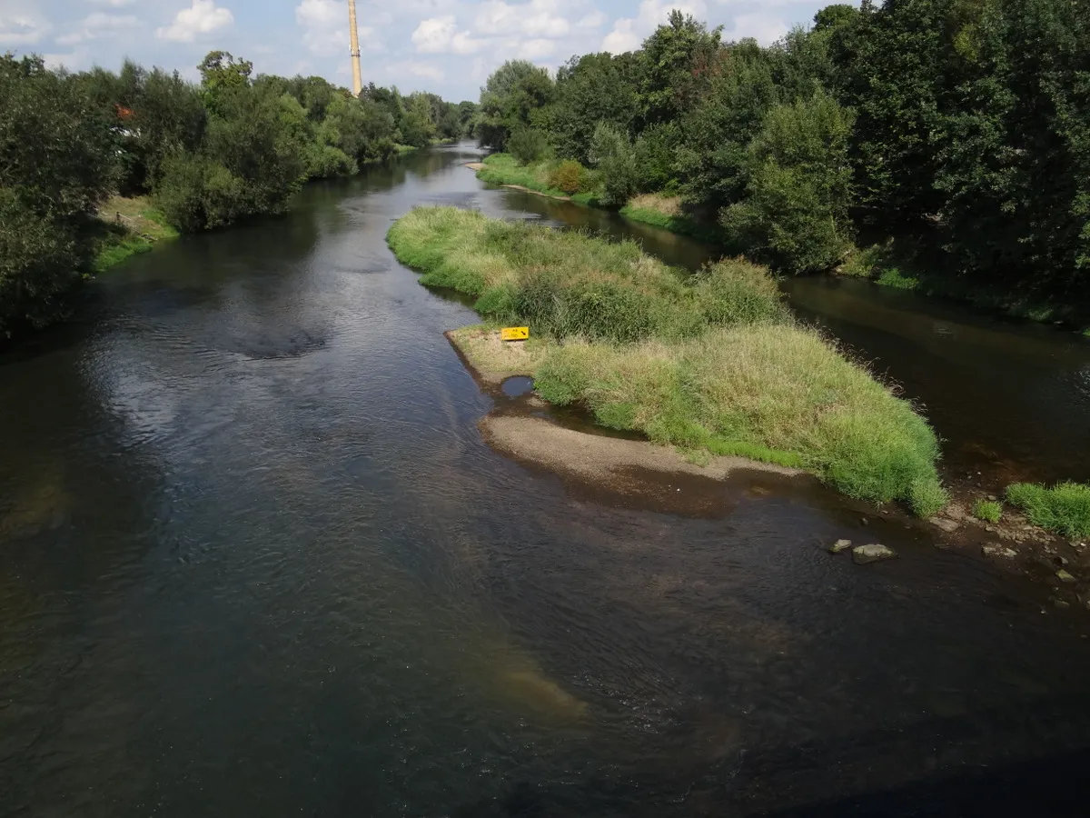 Photo showing: Bóbr w Żaganiu