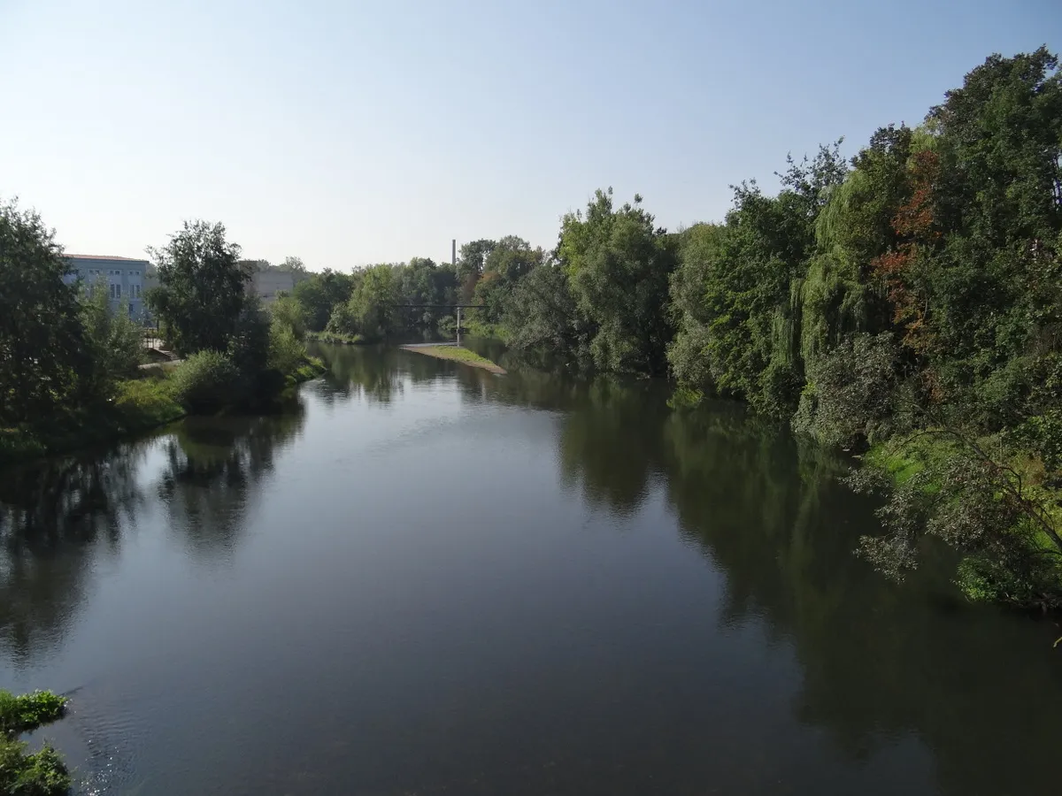 Photo showing: Bóbr w Żaganiu