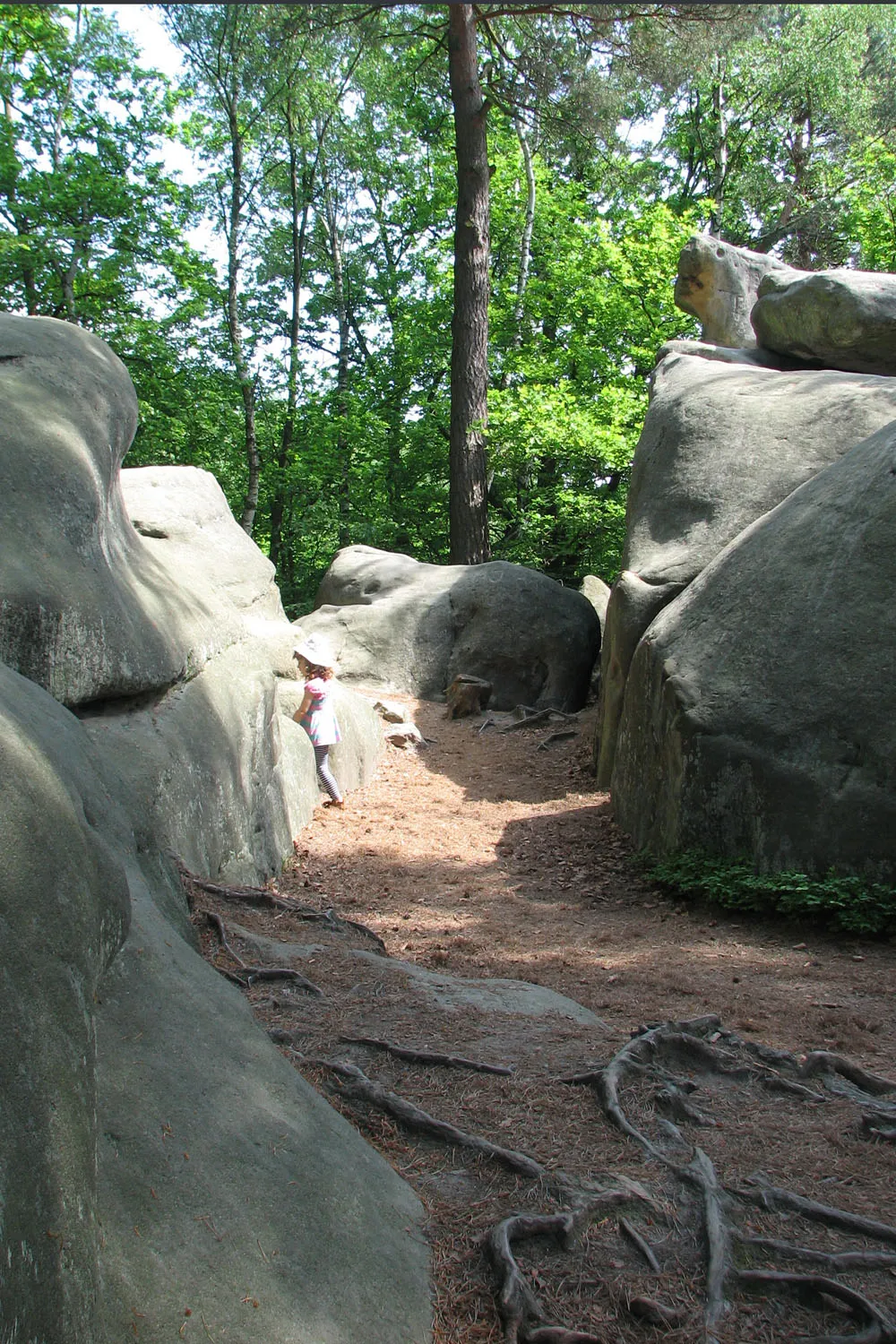 Photo showing: Stone City at Ciężkowice, Poland