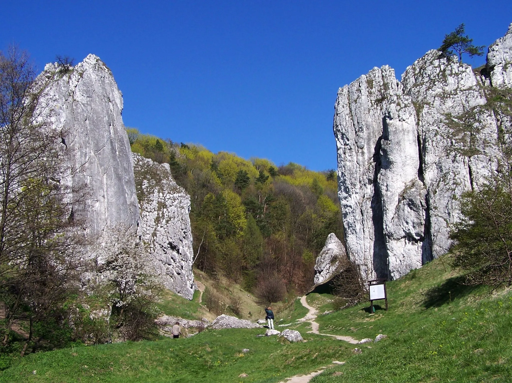 Photo showing: Dolina Bolechowicka (Dolinki Krakowskie)