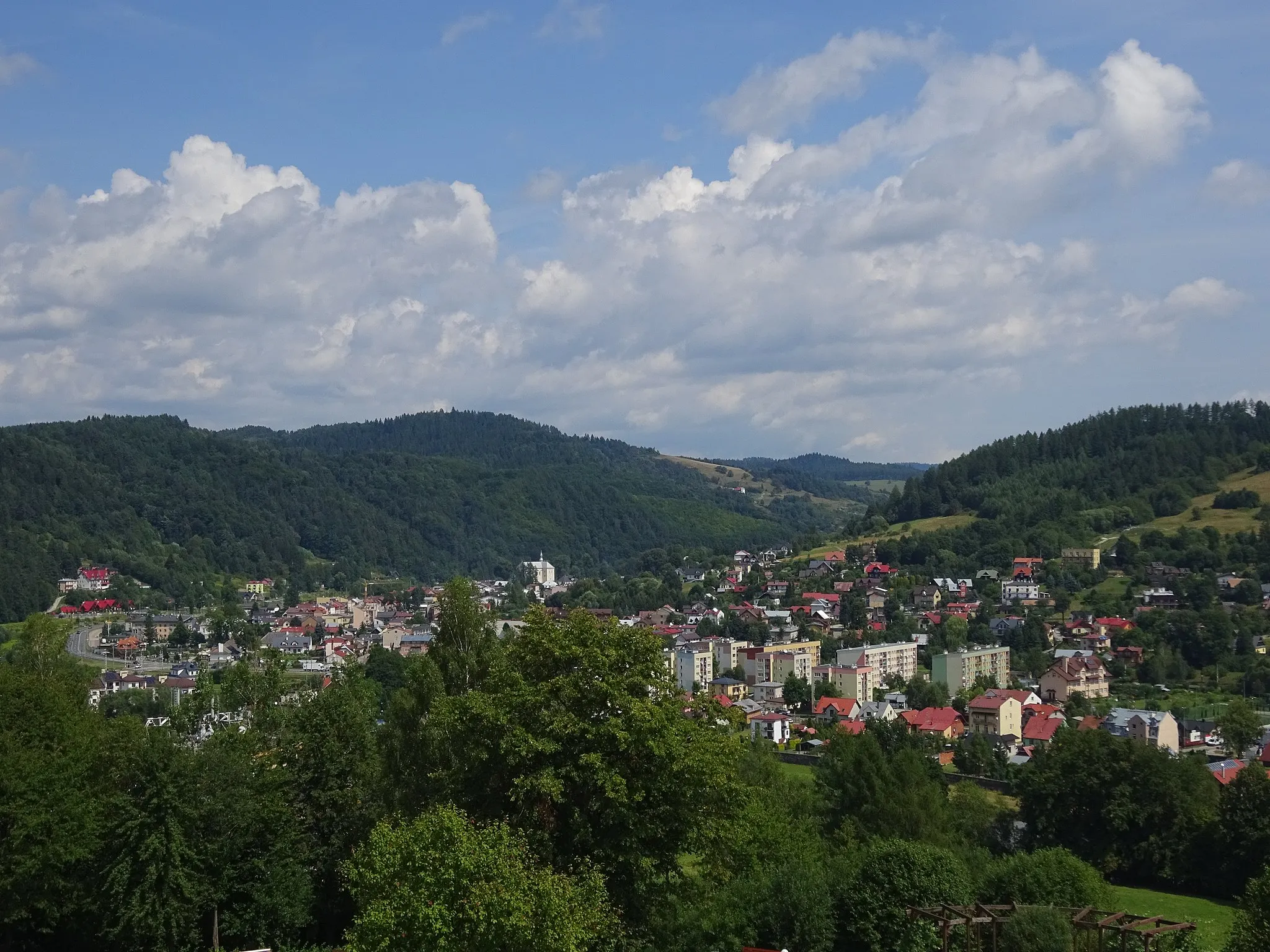 Photo showing: Muszyna - widok ogólny z wieży widokowej w Parku Zdrojowym „Zapopradzie” (z południowego zachodu). 2019