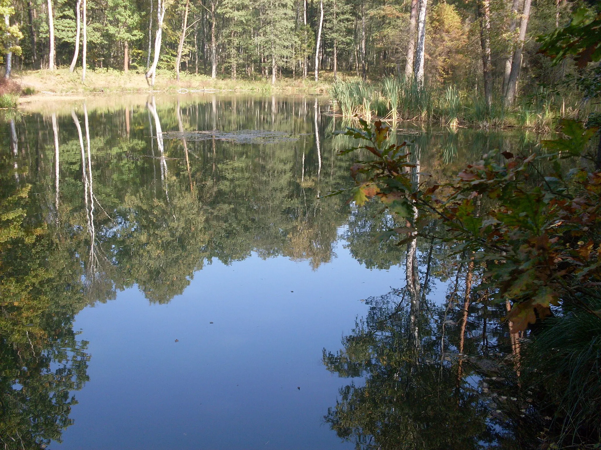 Obrázok Małopolskie