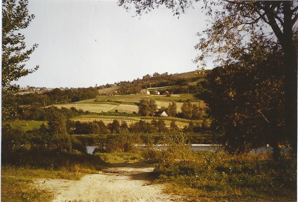 Photo showing: Landscape in Wojnicz on the banks of the river Dunajec