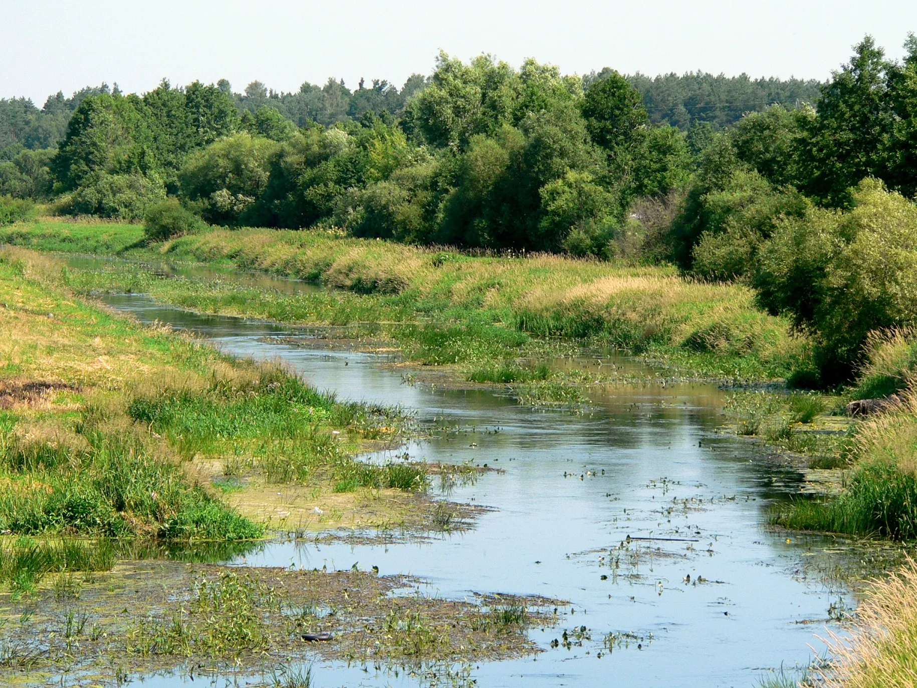 Photo showing: Description: Orzyc river near Maków Mazowiecki, Poland

Opis: rzeka Orzyc w Makowie Mazowieckim (niski stan wody).
Source: Picture taken in July, 2005 and uploaded by Marek K. Misztal