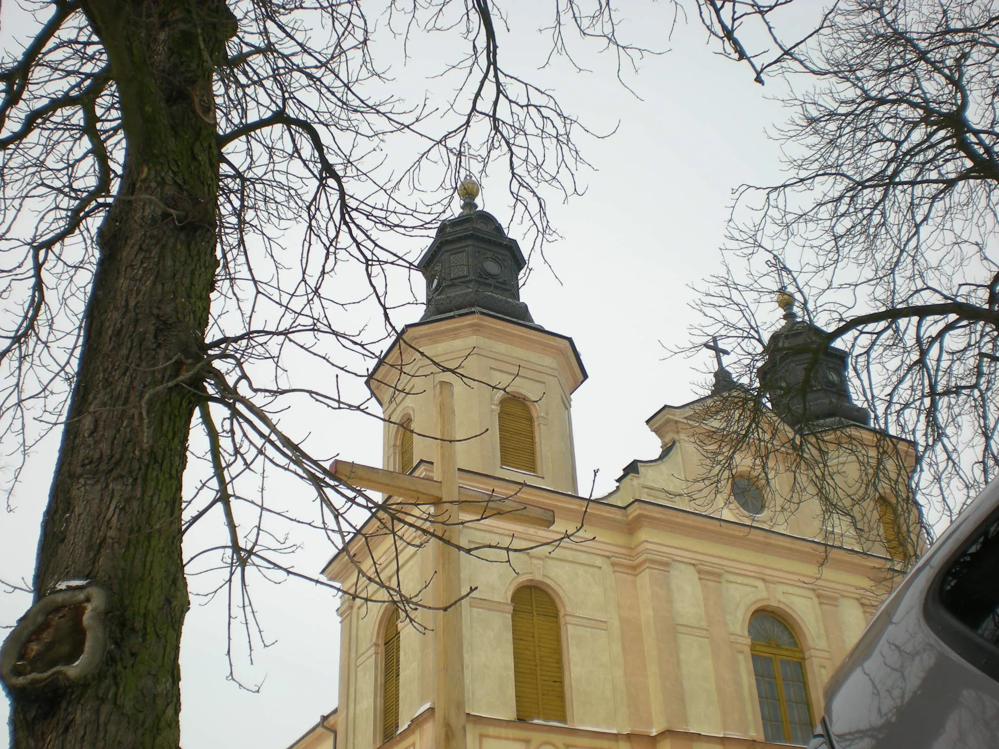 Zdjęcie: Mazowiecki regionalny