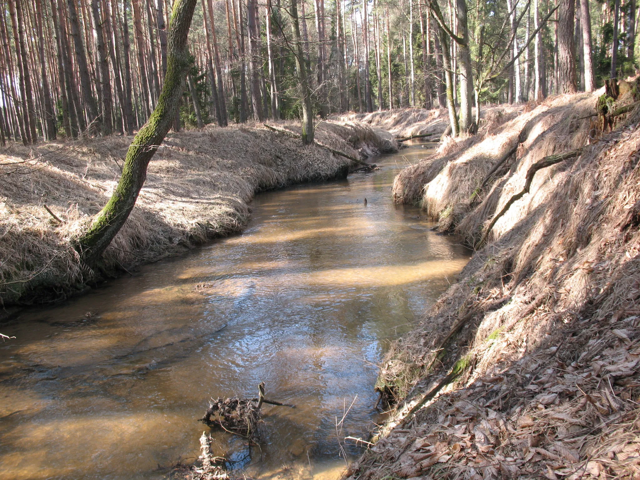 Zdjęcie: Opolskie