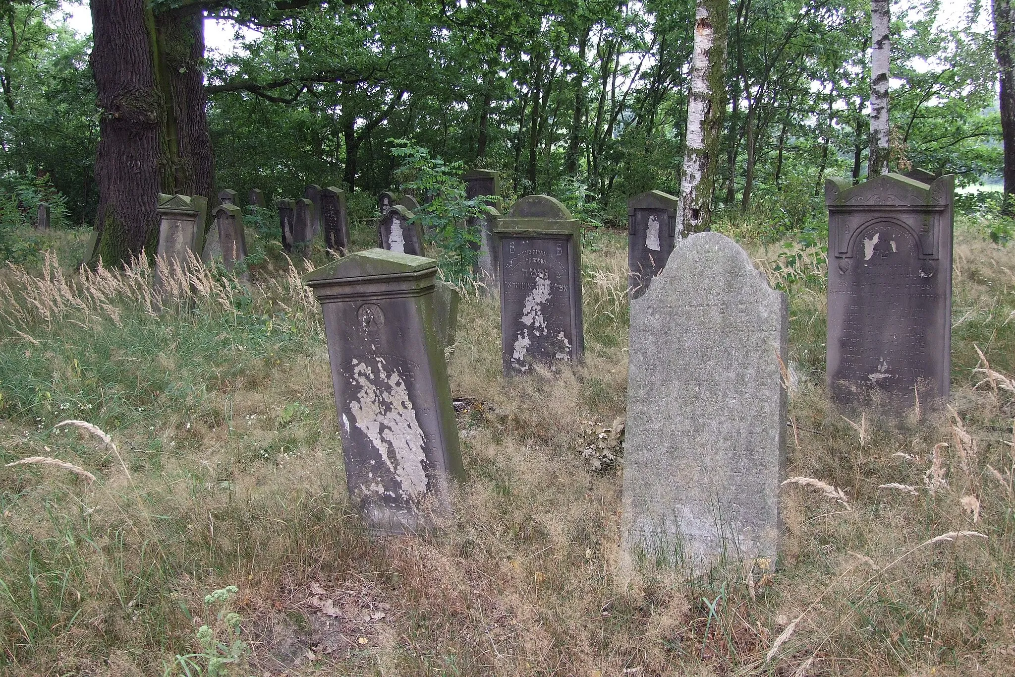 Photo showing: Jewish cemetery in Olesno/Poland