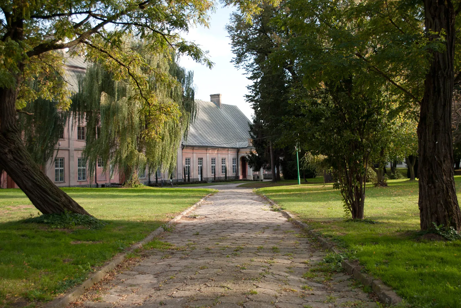 Photo showing: Zespół pałacowy
park Boguchwała, Boguchwała