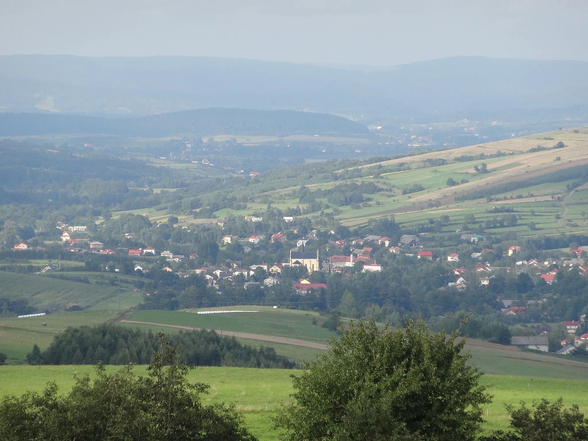 Photo showing: Widok na Bukowsko z drogi na Tokarnię