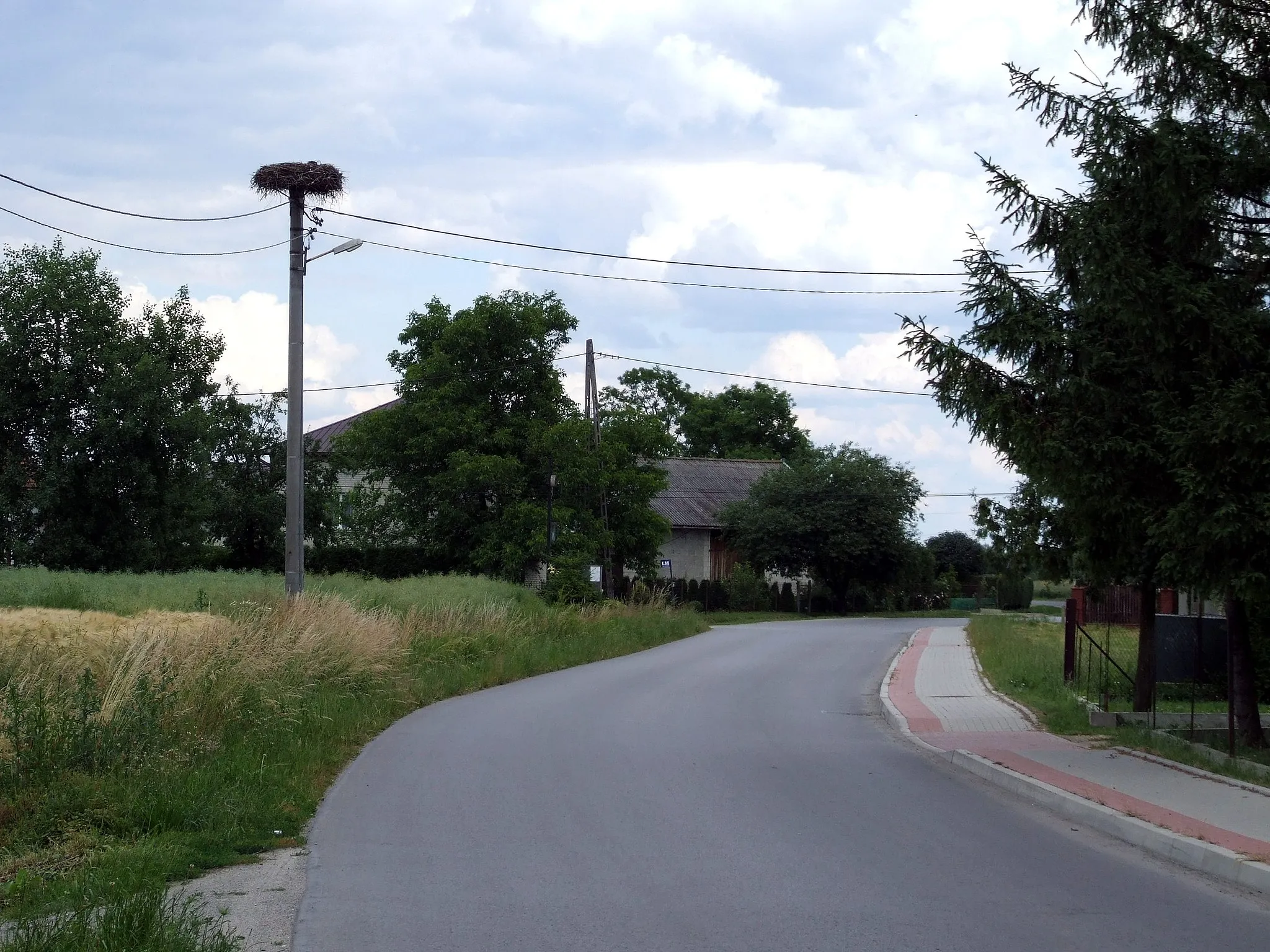 Photo showing: Głuchów - droga prowadzącą do Woli Dalszej i Dębiny