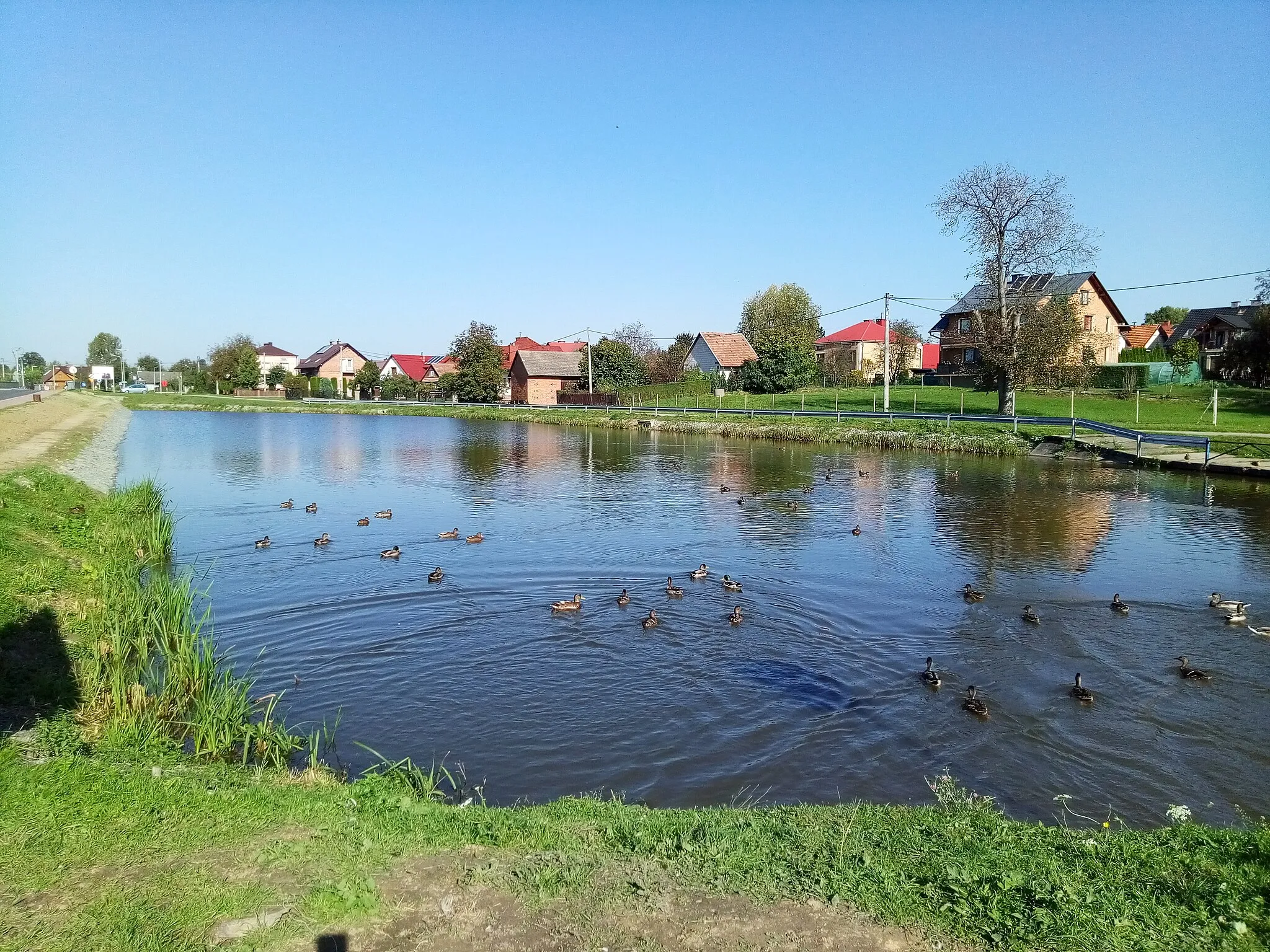 Photo showing: Zbiornik "Tama" na Leszczynce w Grodzisku Górnym