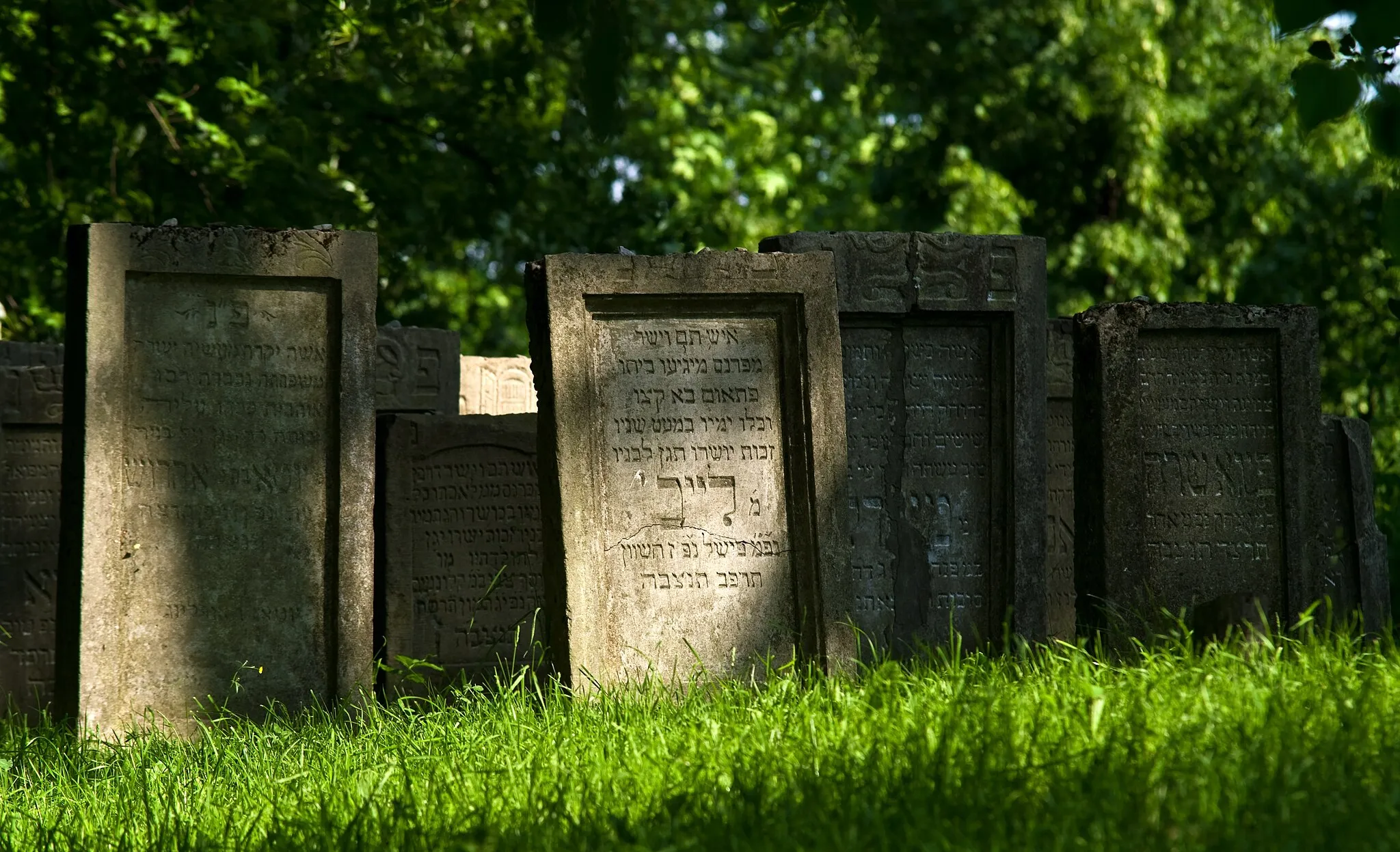 Photo showing: Jewish cemetery in Leżajsk