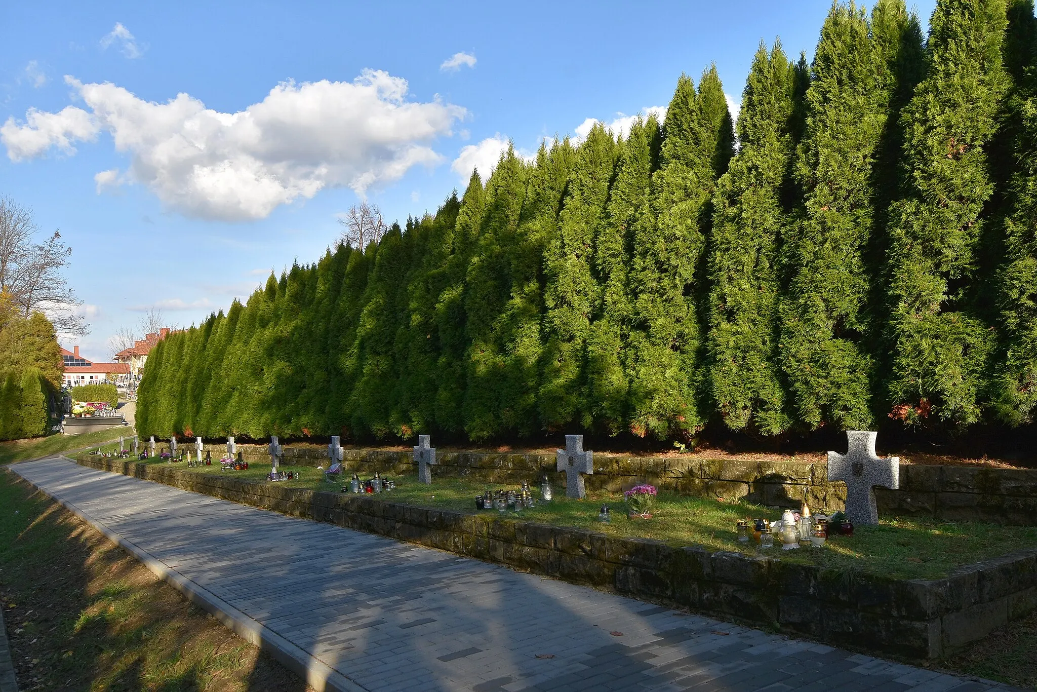 Photo showing: Rymanów, cmentarz z I wojny światowej