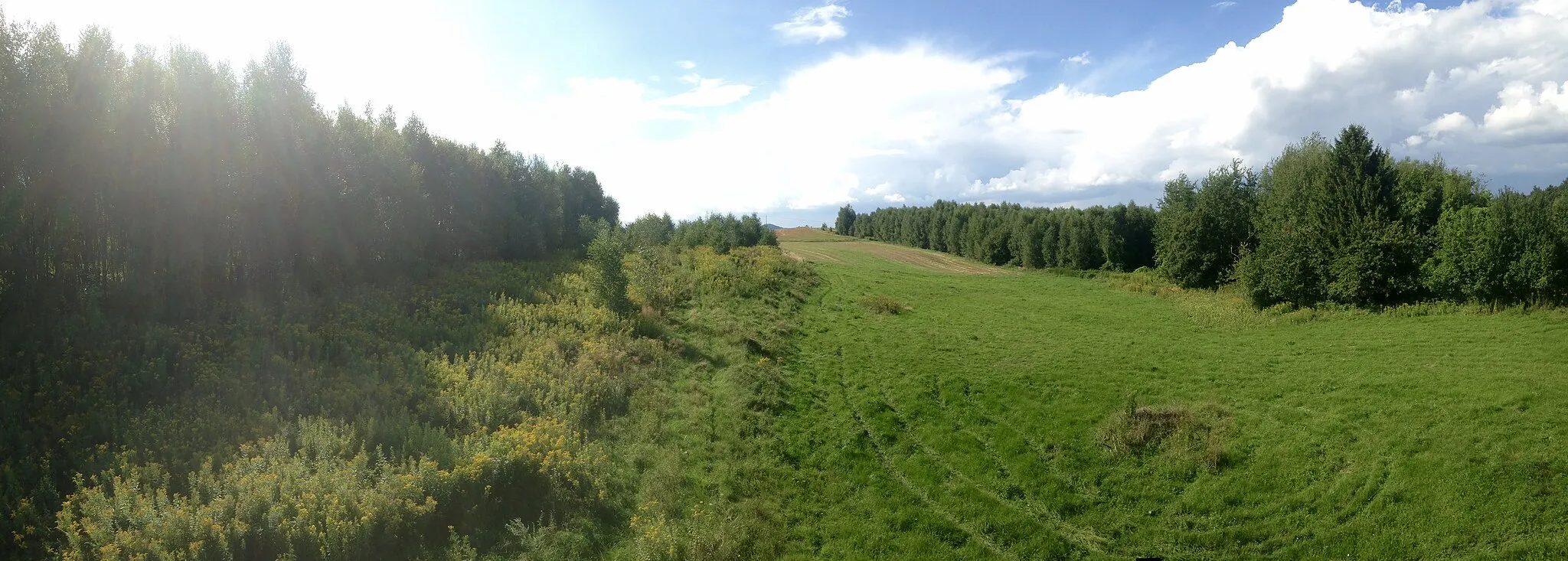 Photo showing: Fields and surrounding forest in Stodolina, Wysoka Strzyżowska.