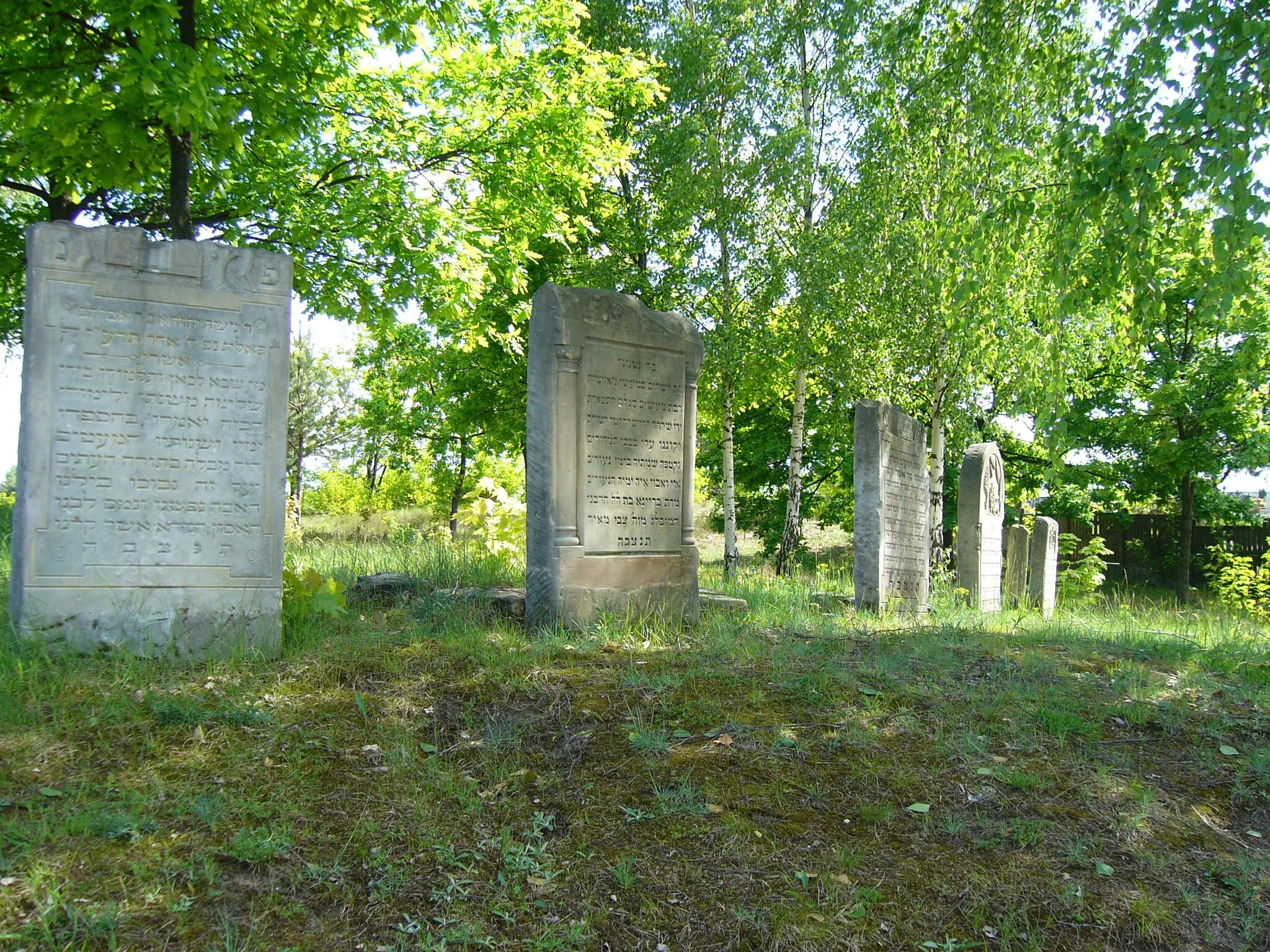 Photo showing: Jewish cemetery in Zaklików