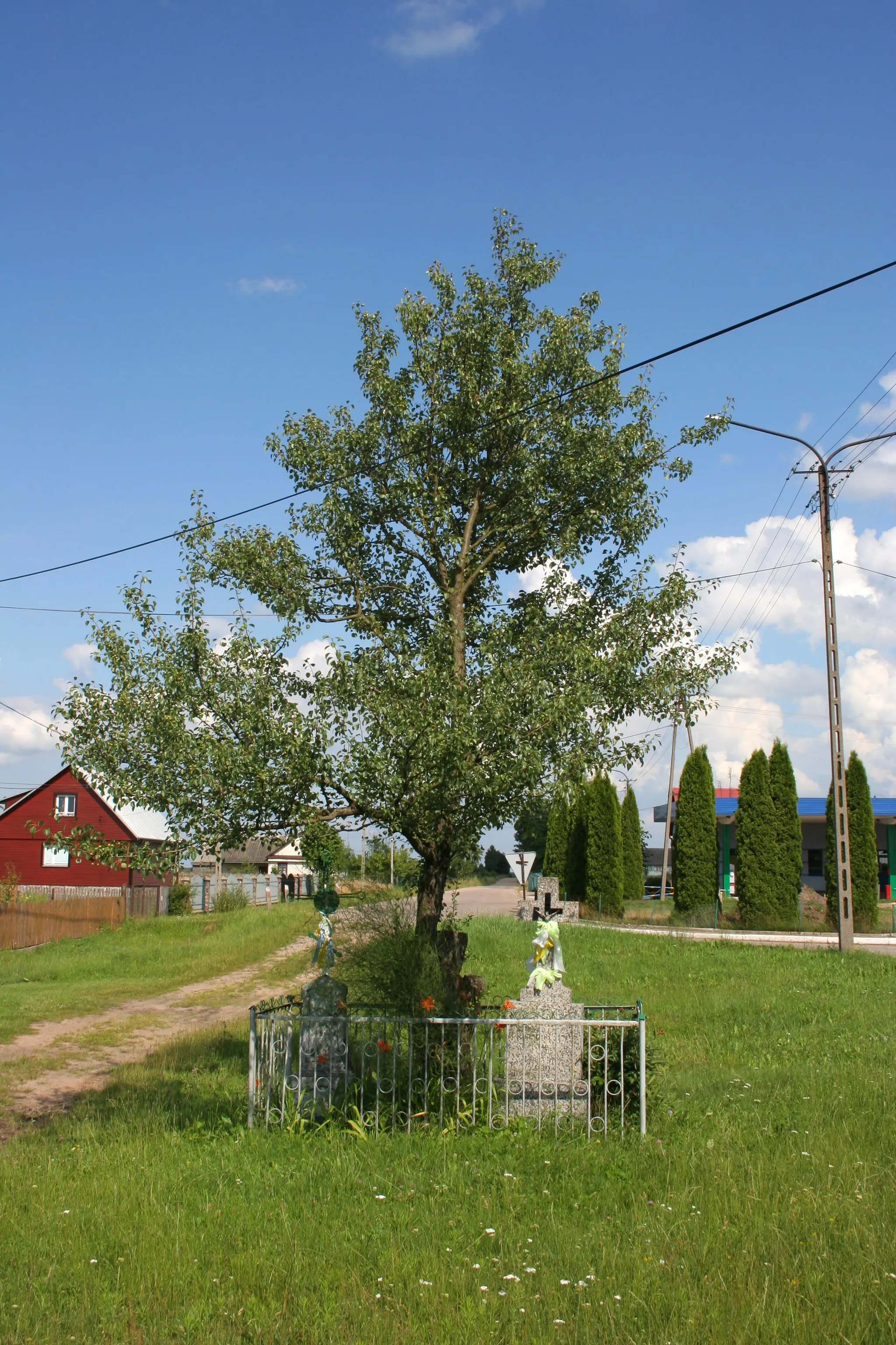 Photo showing: Krzyże przydrożne w Czeremsze-Wsi.