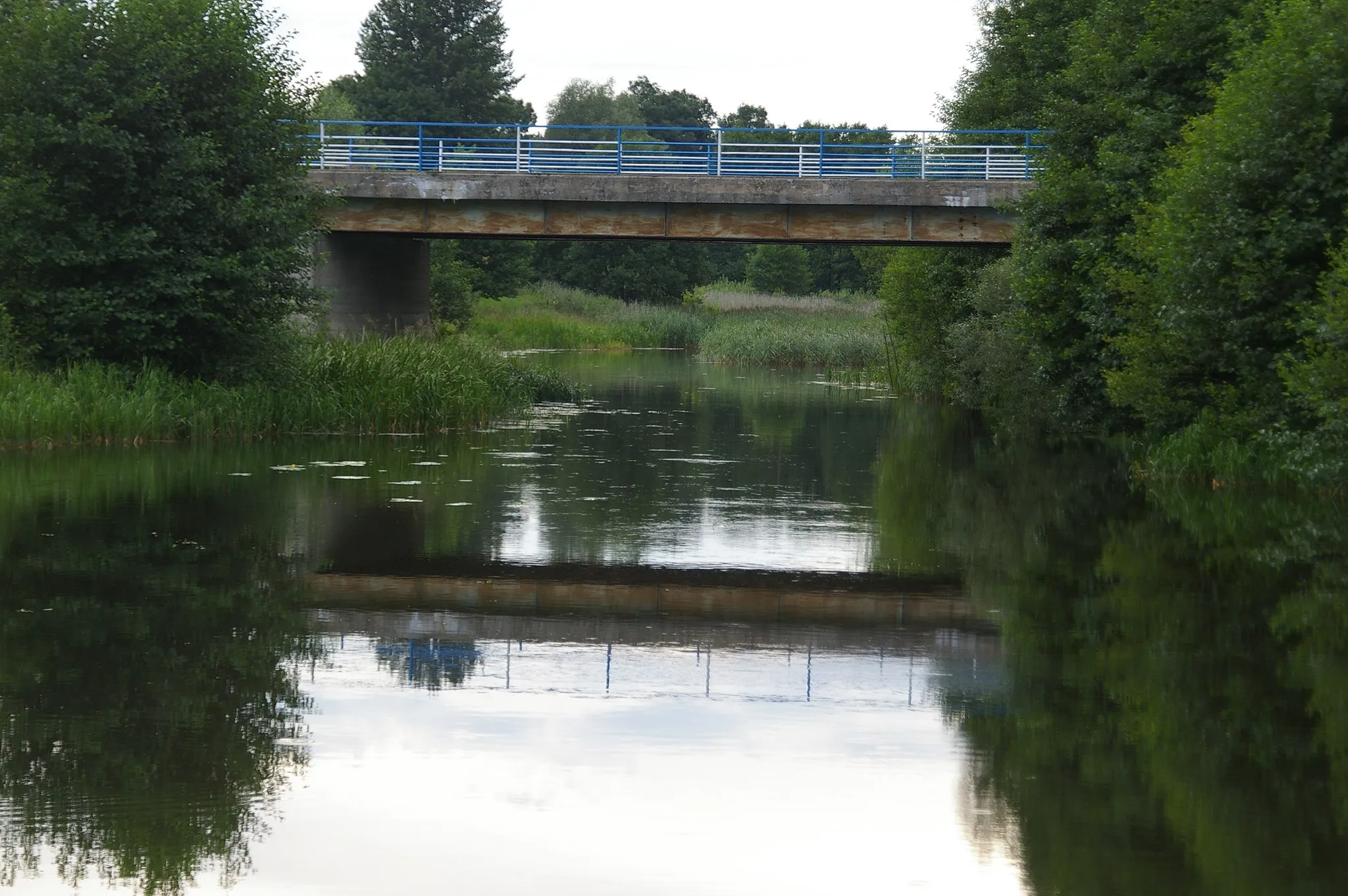 Photo showing: Rospuda River, near village Raczki Małe