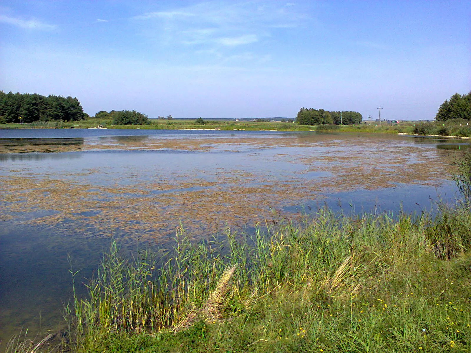 Zdjęcie: Stawiski