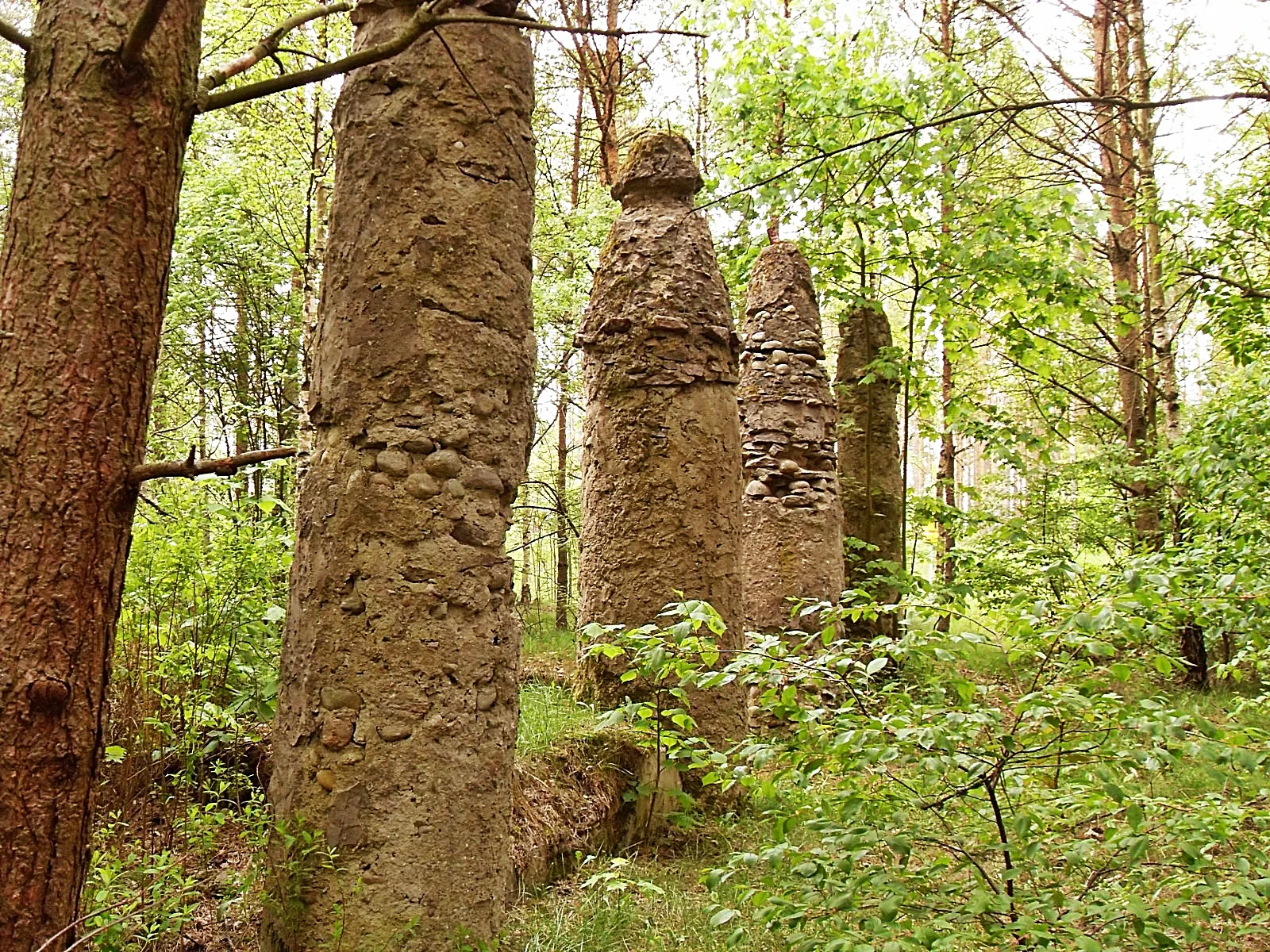 Photo showing: Pillars forgotten gardens in Płocicznie