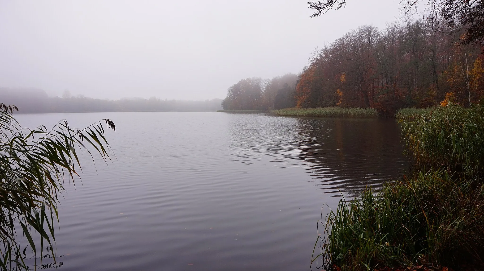 Photo showing: Jezioro Klasztorne Duże - jezioro rynnowe położone na Pojezierzu Kaszubskim w Kartuzach