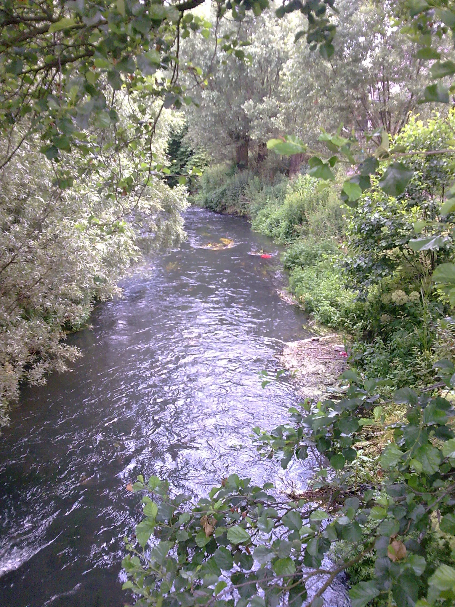 Photo showing: nad rzeką Wietcisą