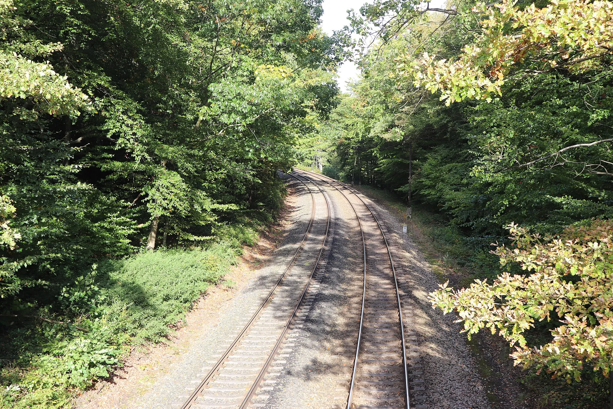 Photo showing: Gdynia - Trójmiasto Landscape Park - Oliwa Forest - railway line No. 201