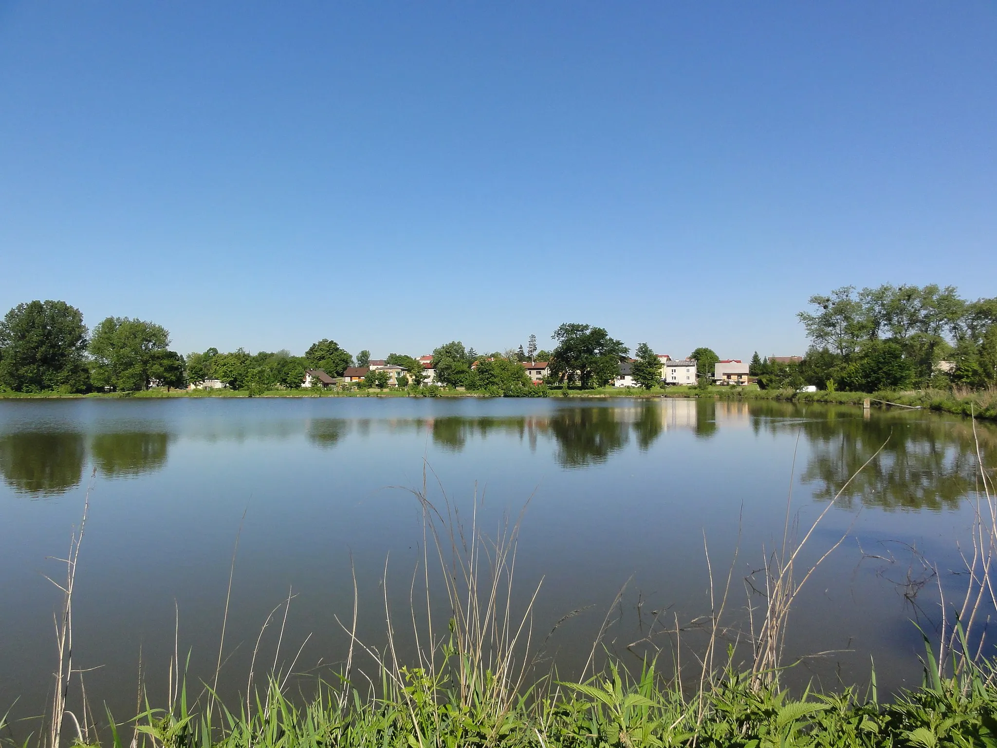 Photo showing: Pond in centre of Dębowiec