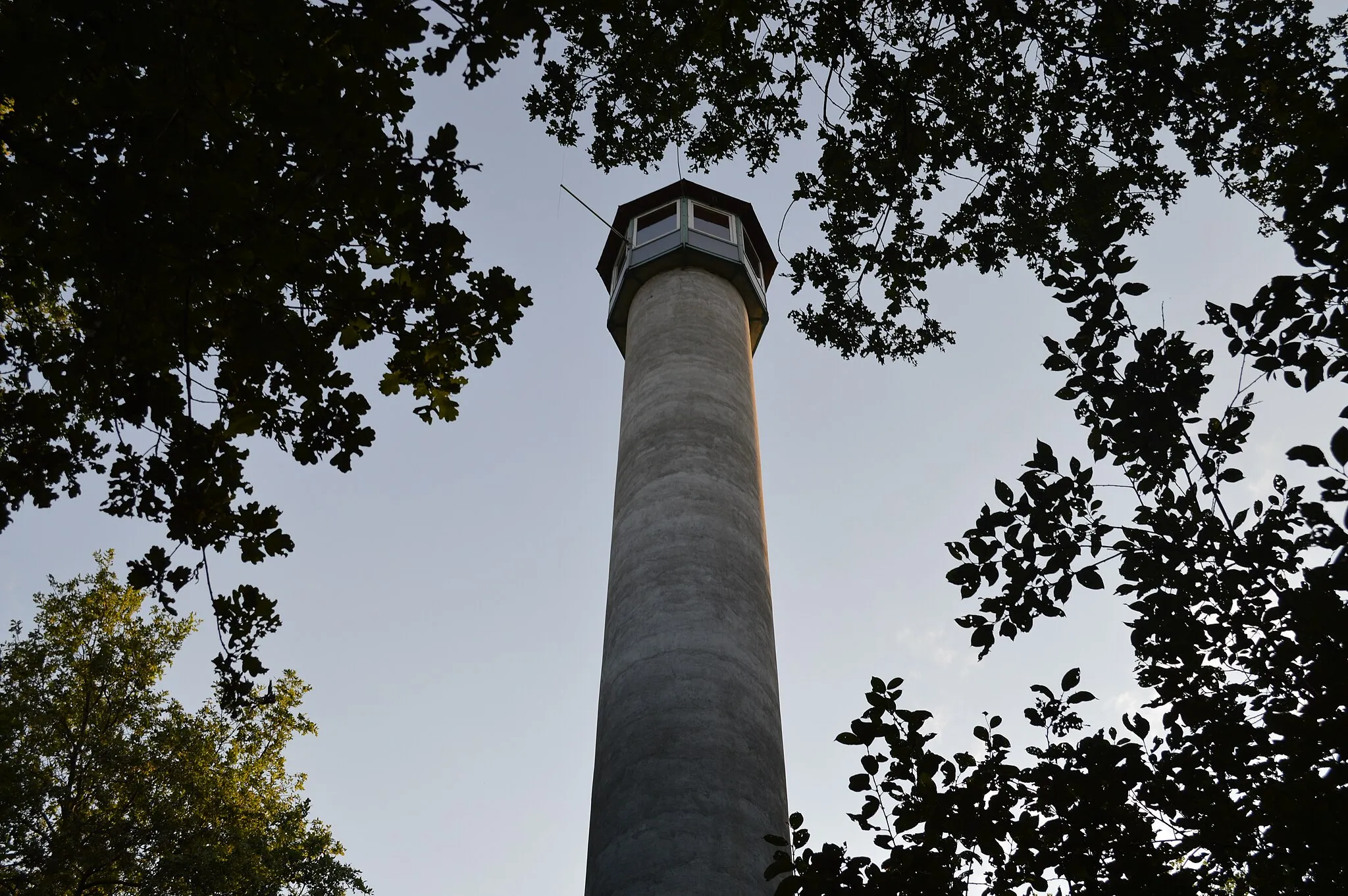 Photo showing: Wieża obserwacyjna na Dębowej Górze w Kłobucku