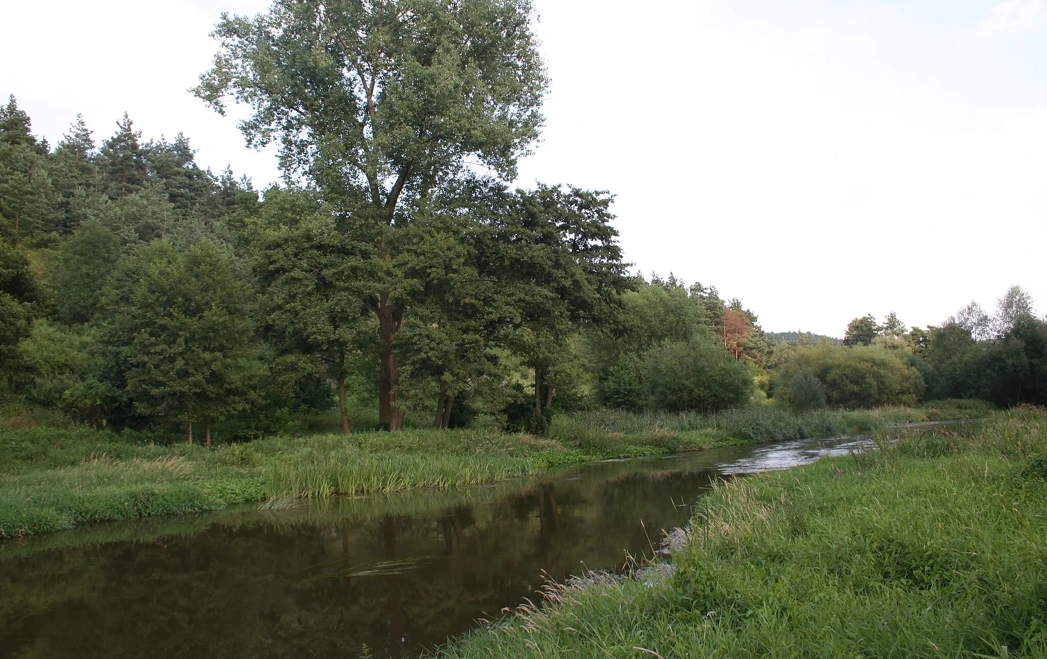 Photo showing: Warta w miejscowości Mstów , woj. śląskie