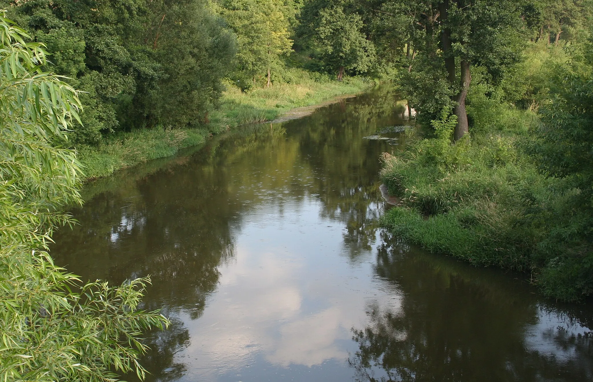 Photo showing: Warta w miejscowości Mstów , woj. śląskie