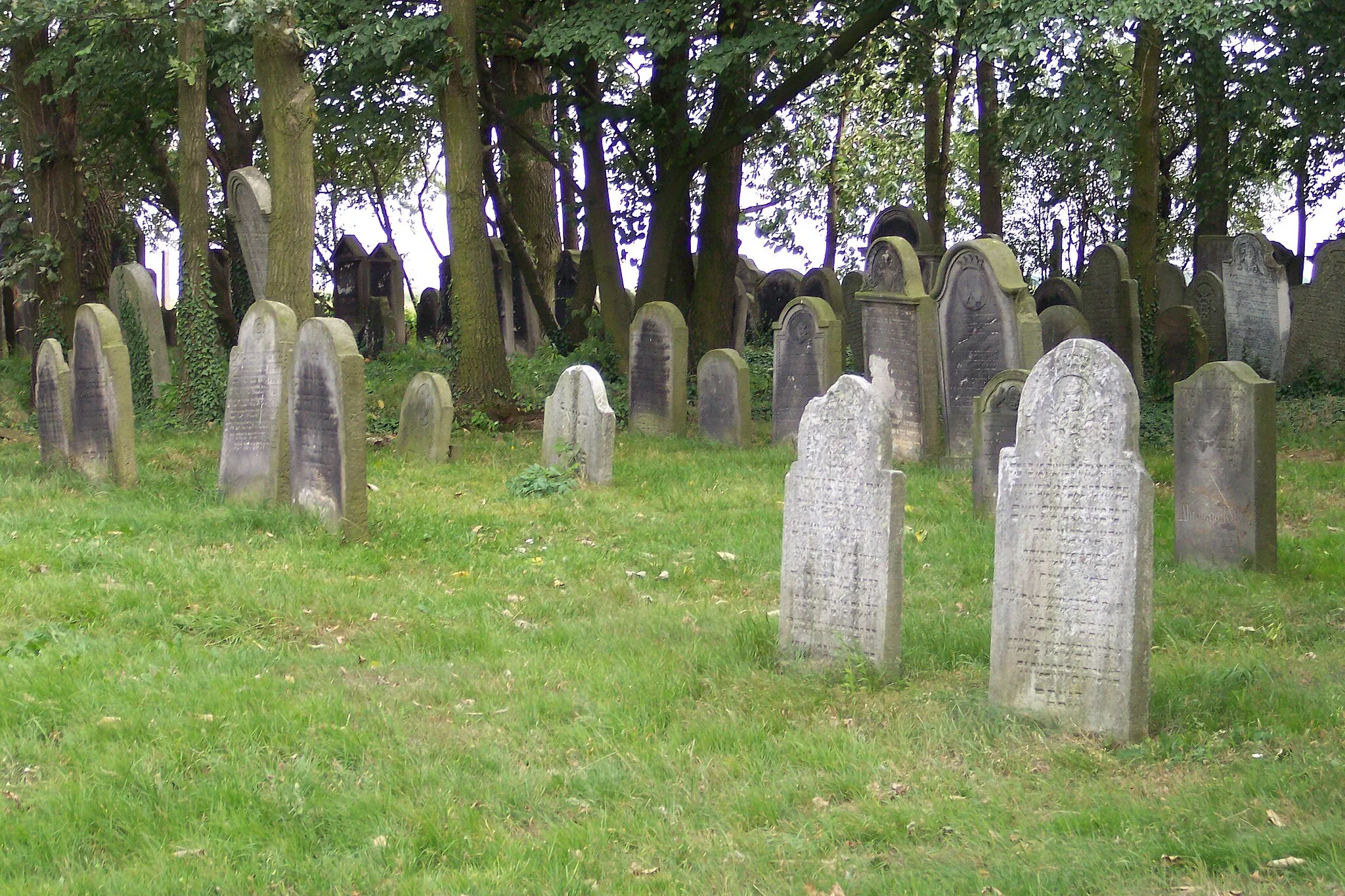 Photo showing: Jüdischer Friedhof in Langendorf, Oberschlesien
