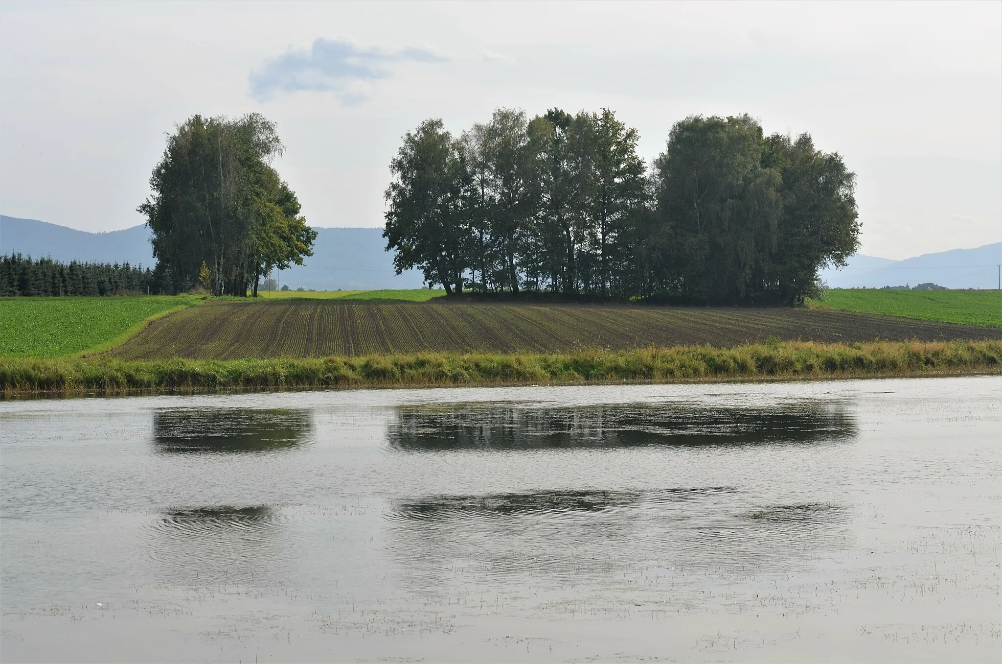 Obrázok Śląskie