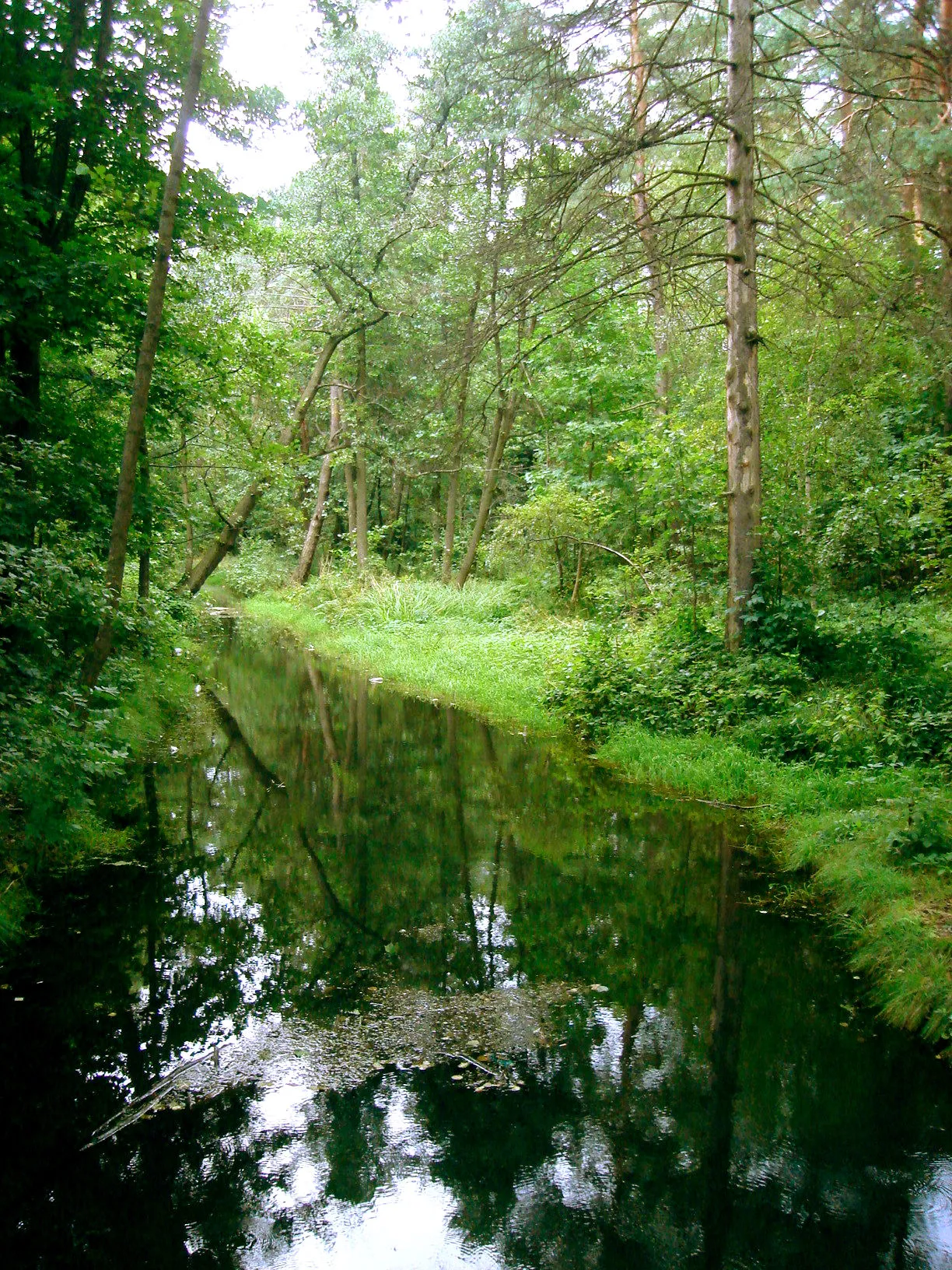 Obrázek Śląskie