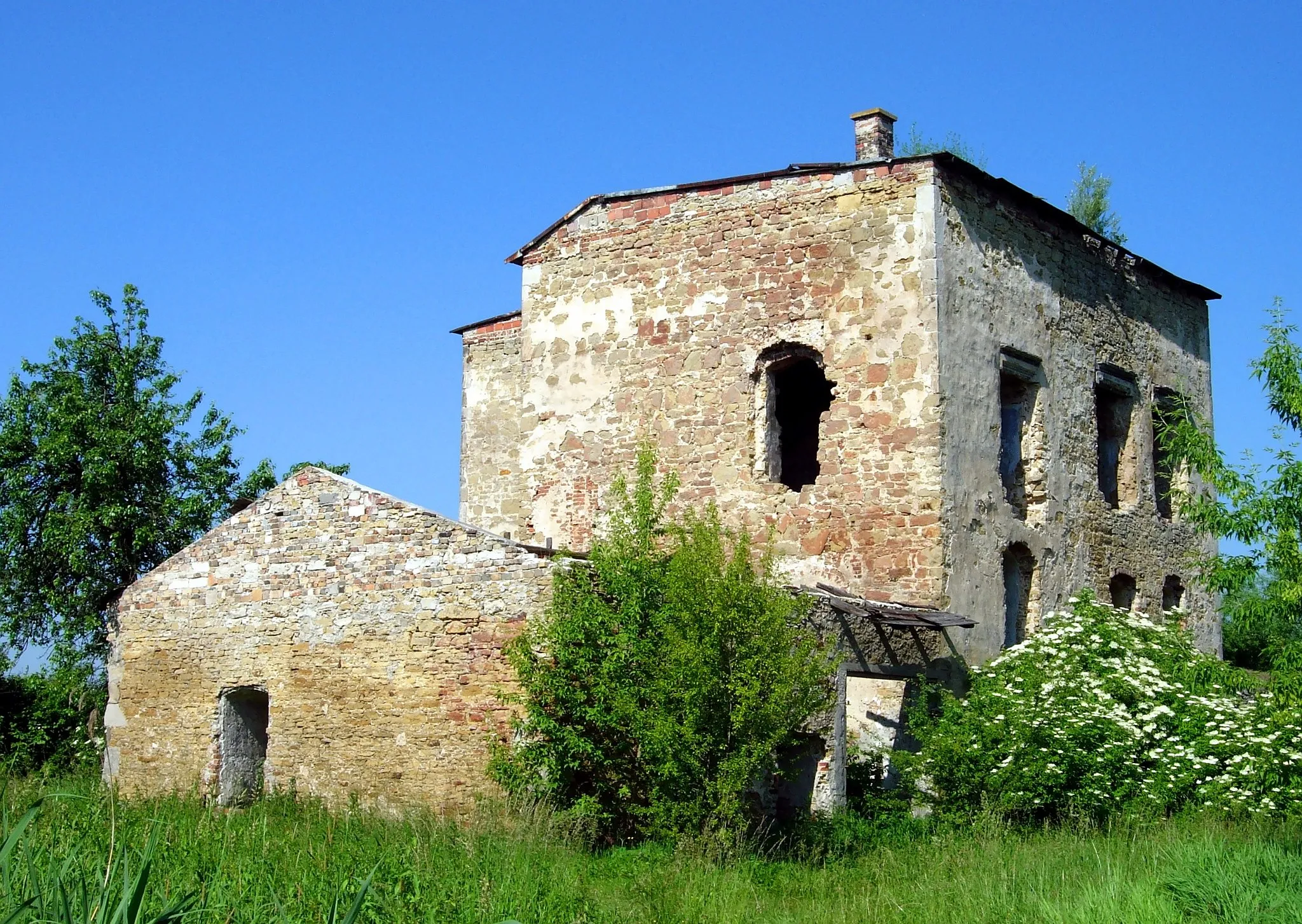 Photo showing: The ruins of the castle in Ćmielów