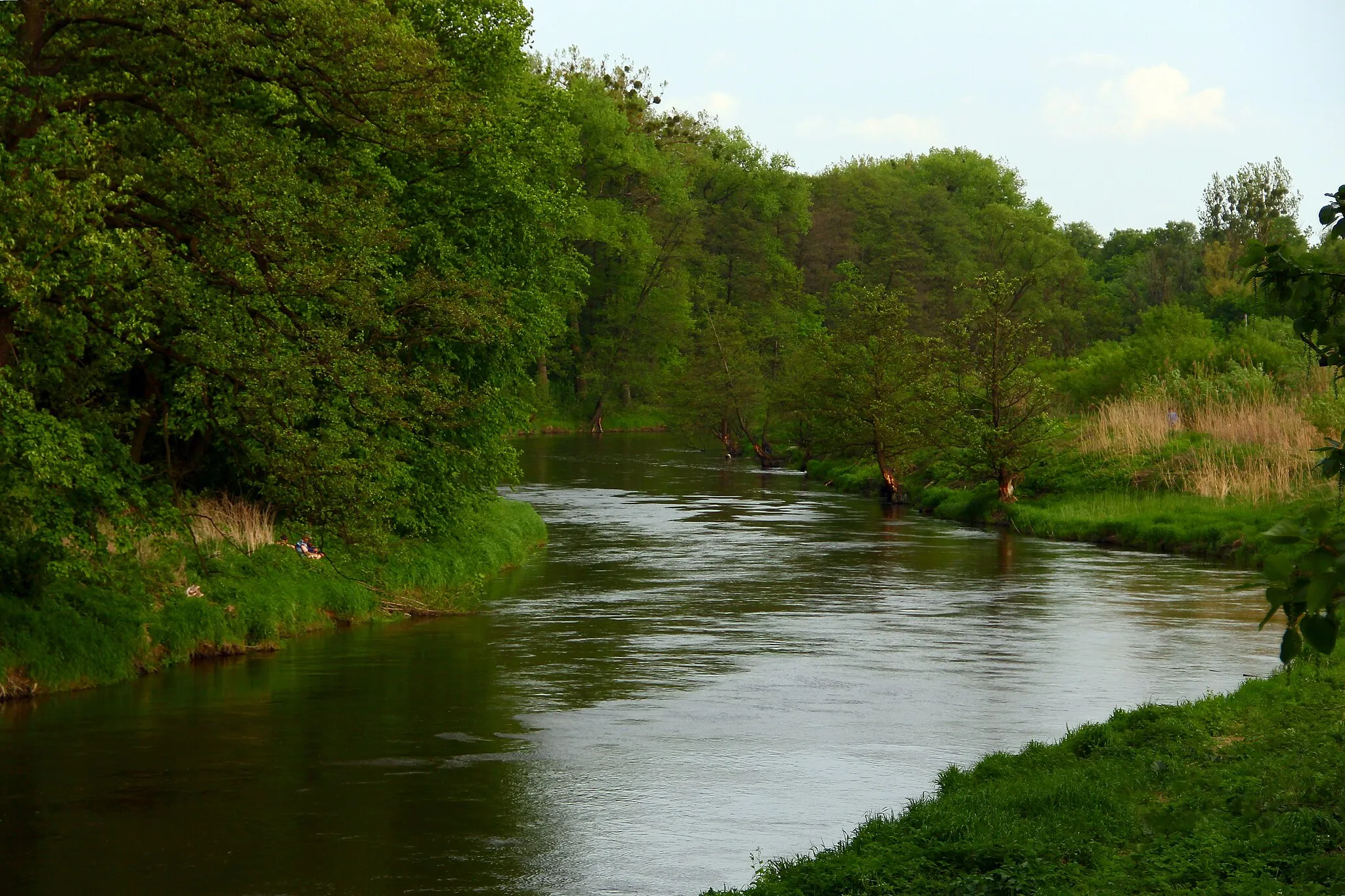 Image of Warmińsko-mazurskie