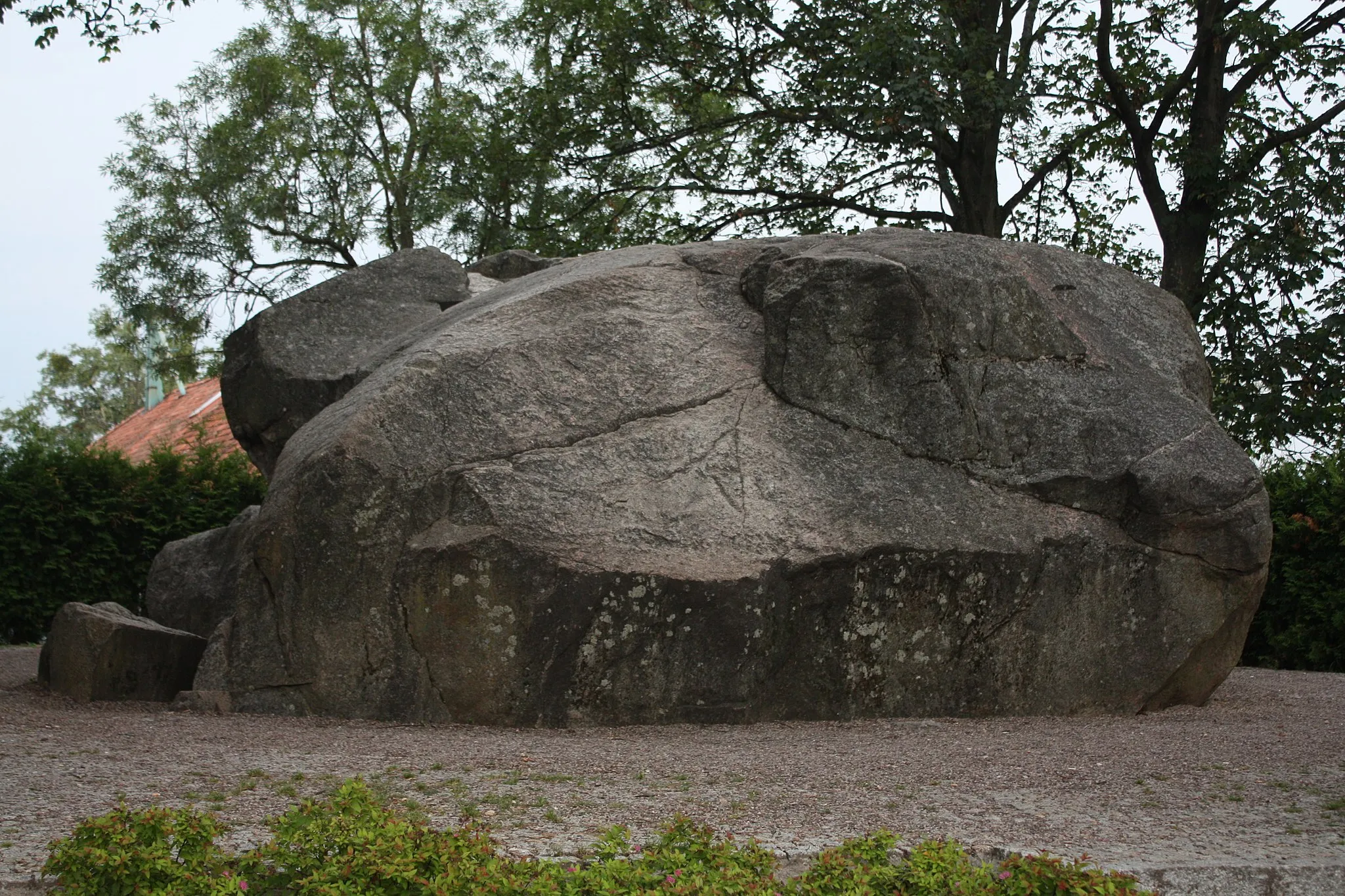 Zdjęcie: Warmia