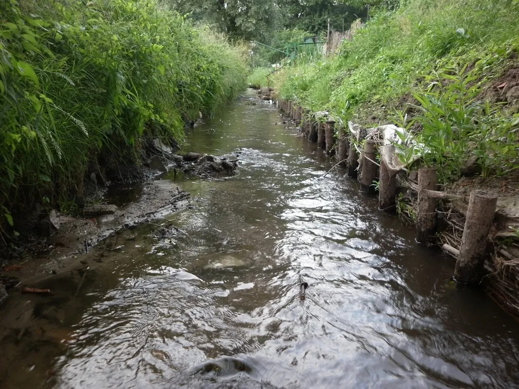 Zdjęcie: Warmia